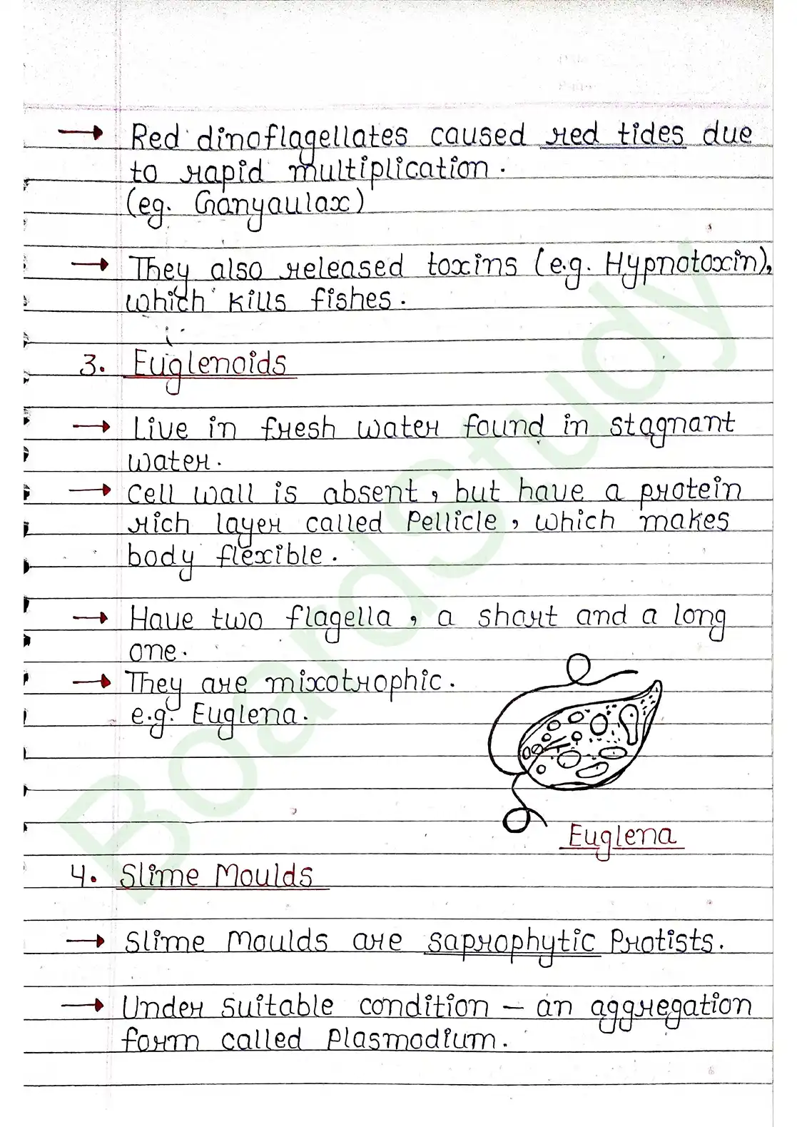 2. Biological Classification_page-0011