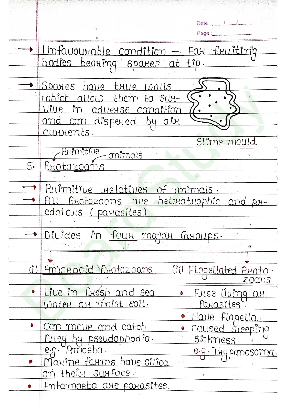 2. Biological Classification_page-0012