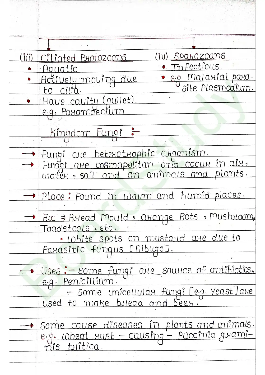 2. Biological Classification_page-0013