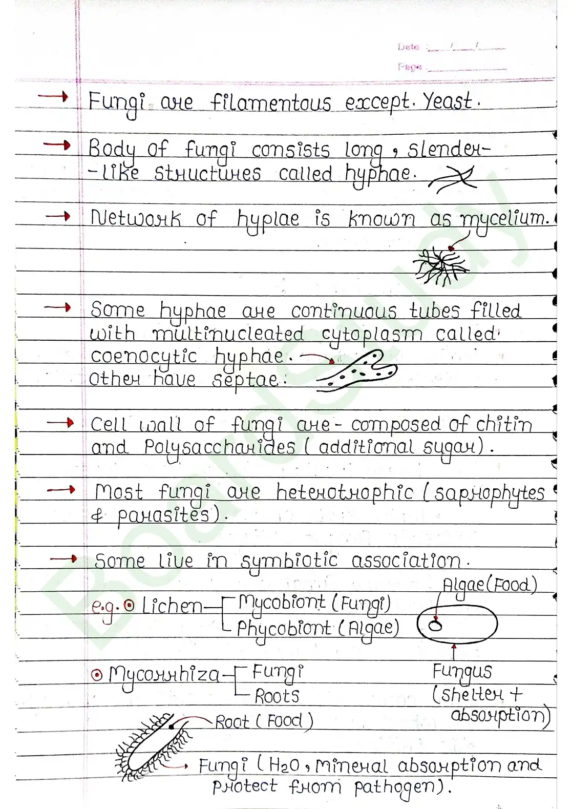 2. Biological Classification_page-0014