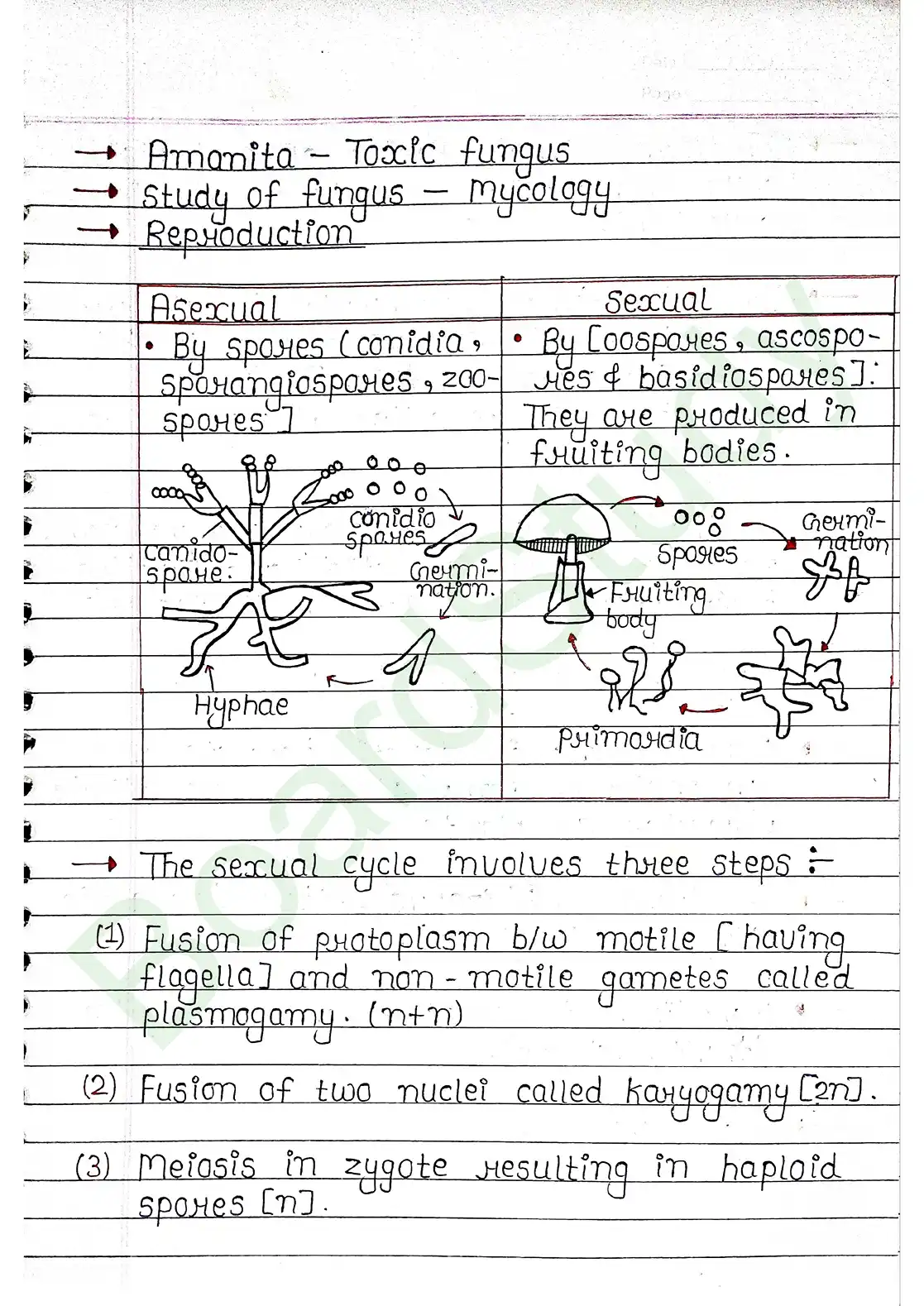 2. Biological Classification_page-0015