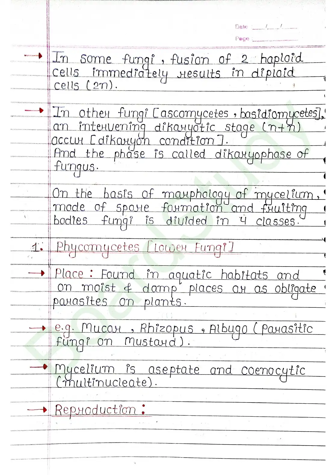 2. Biological Classification_page-0016