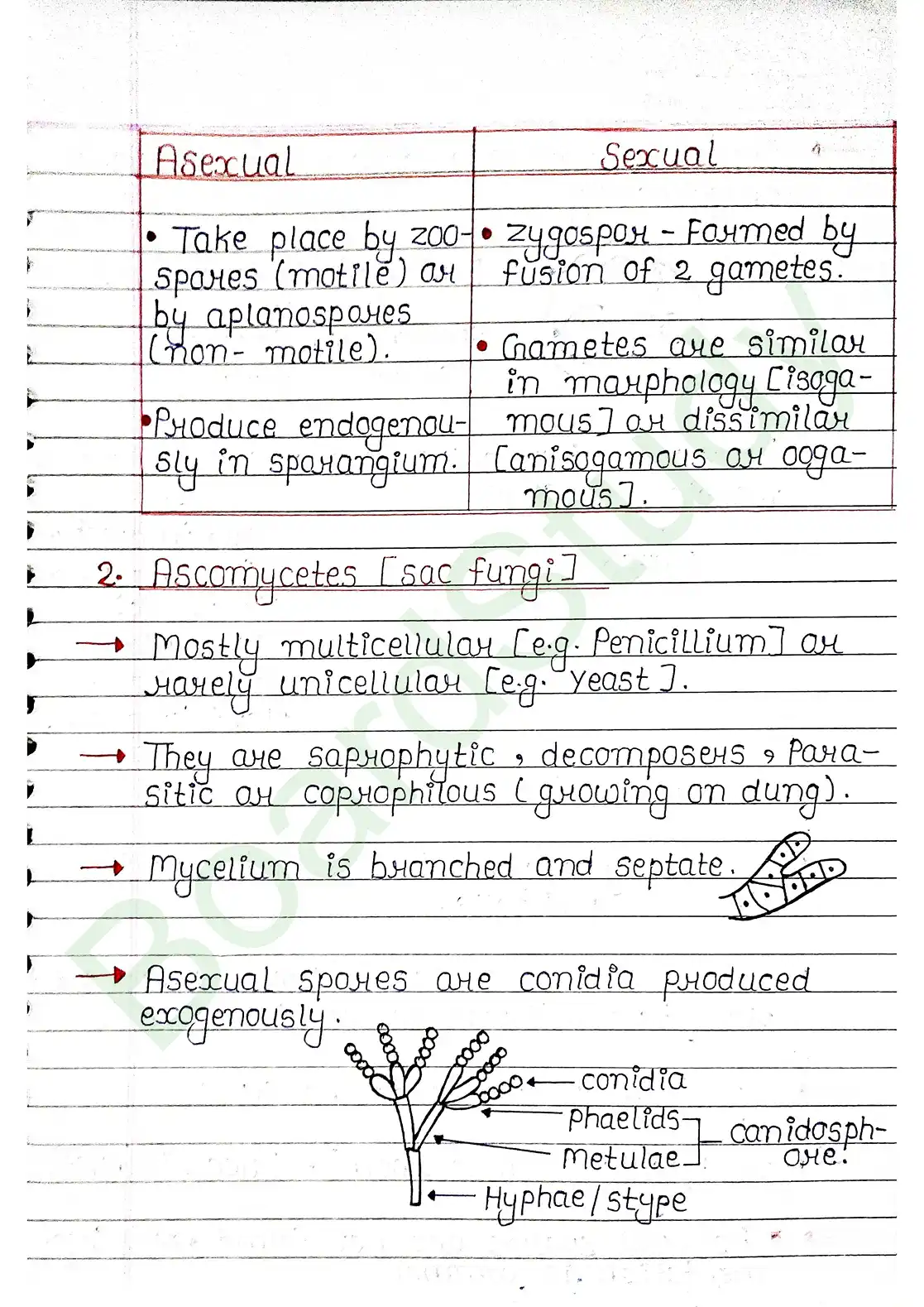 2. Biological Classification_page-0017