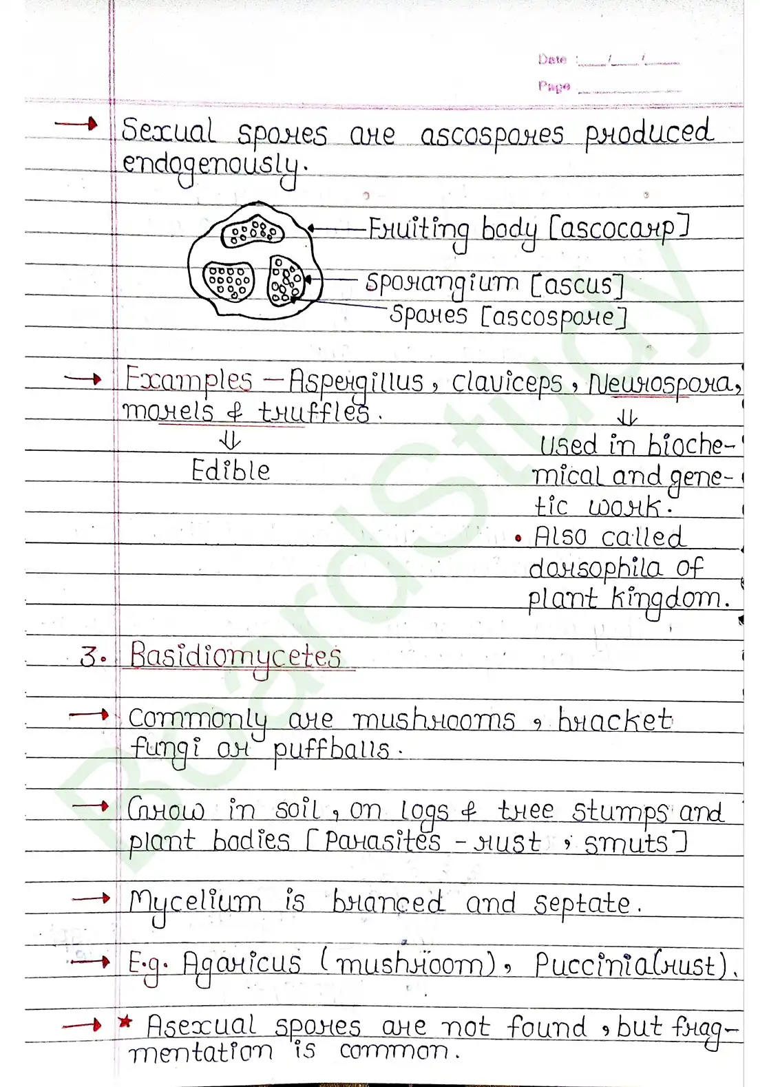 2. Biological Classification_page-0018