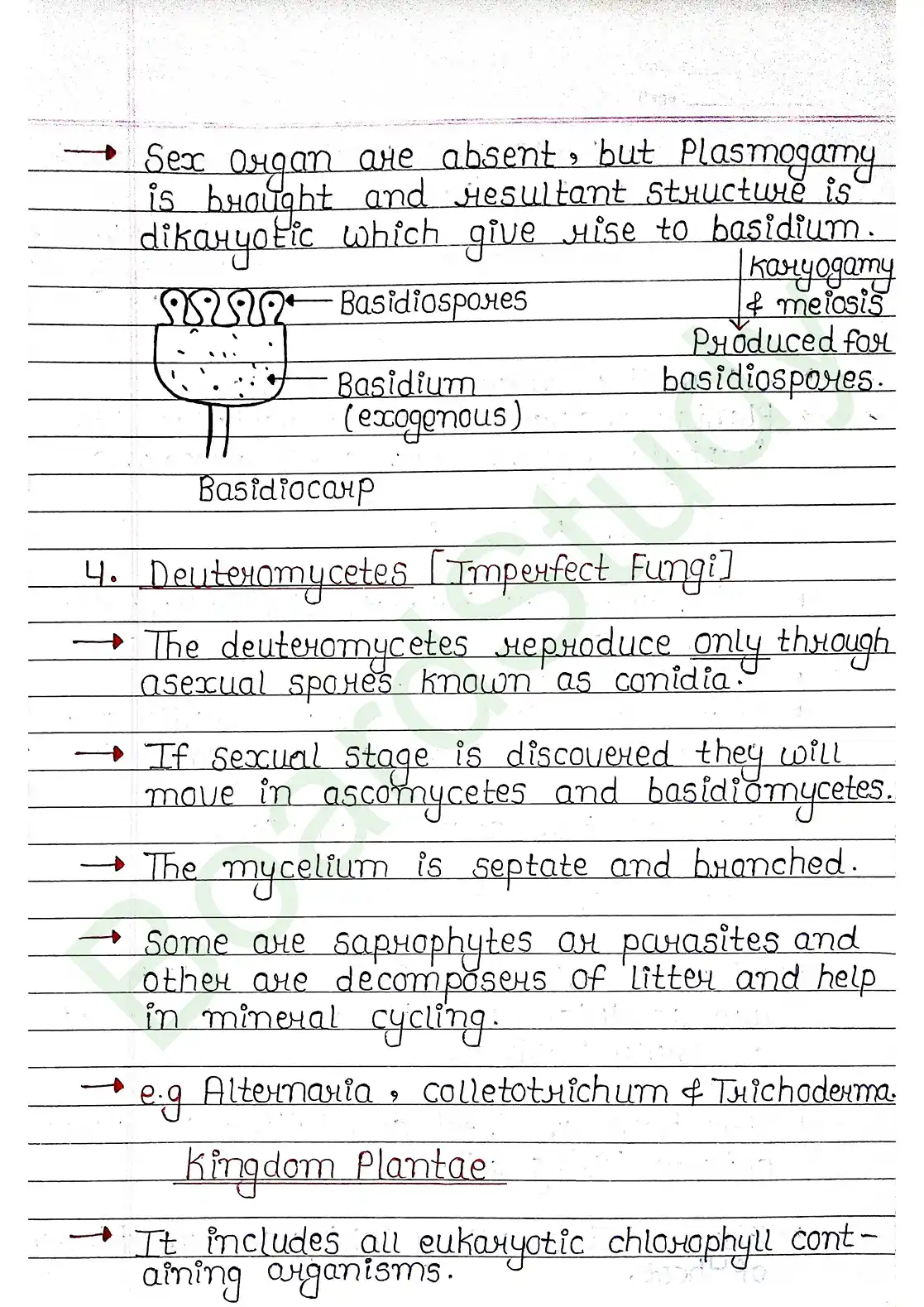 2. Biological Classification_page-0019