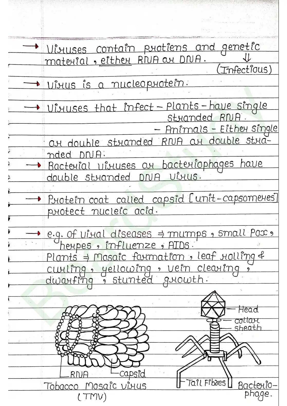2. Biological Classification_page-0021