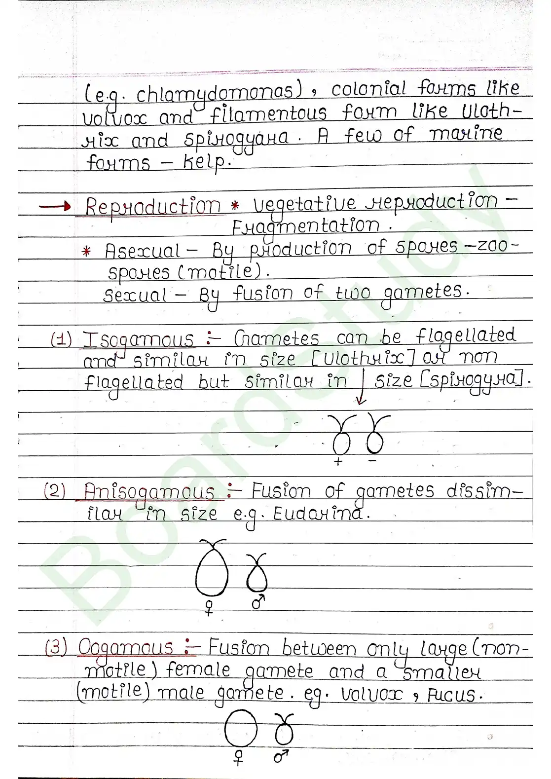 3. Plant Kingdom_page-0004