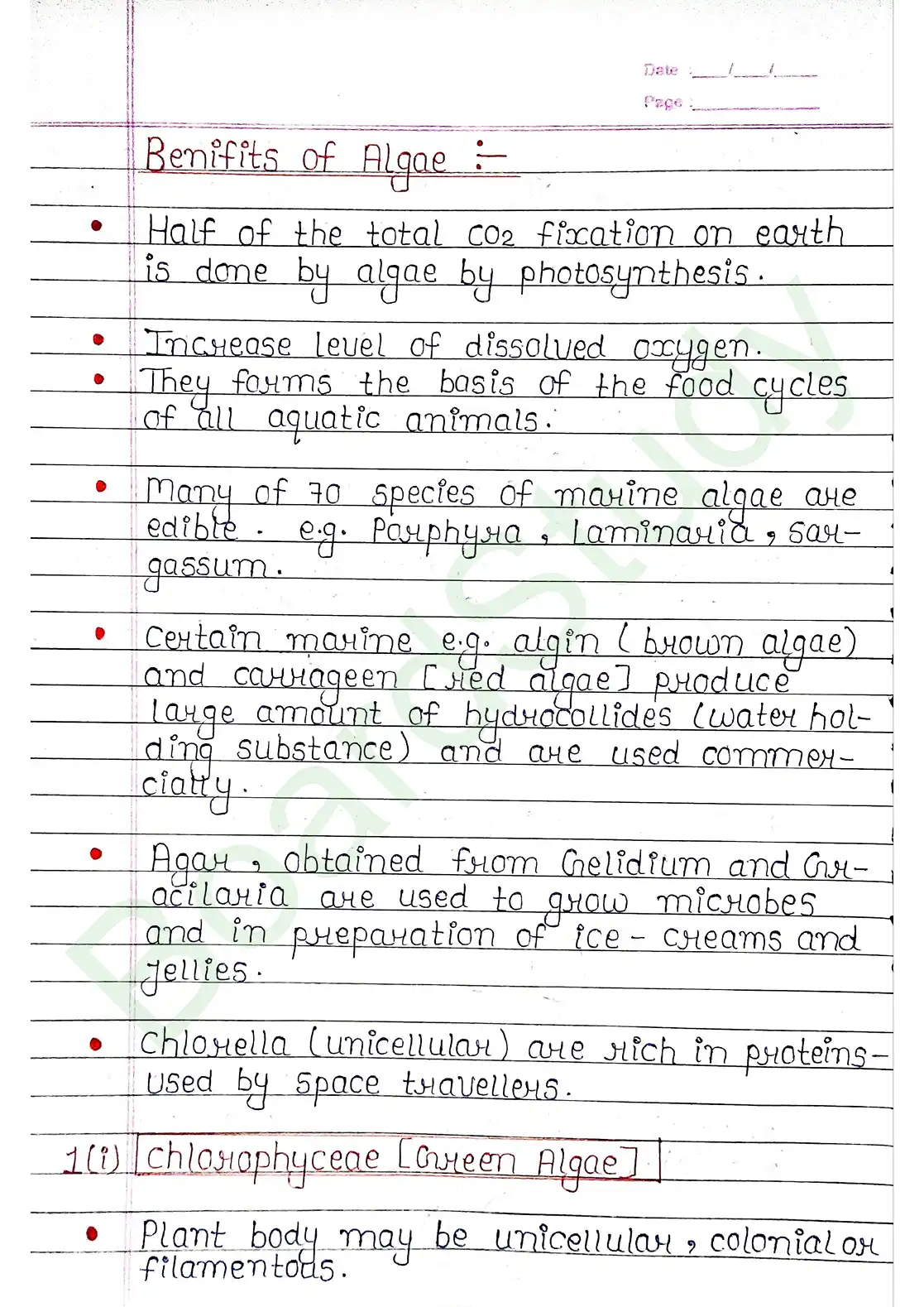 3. Plant Kingdom_page-0005