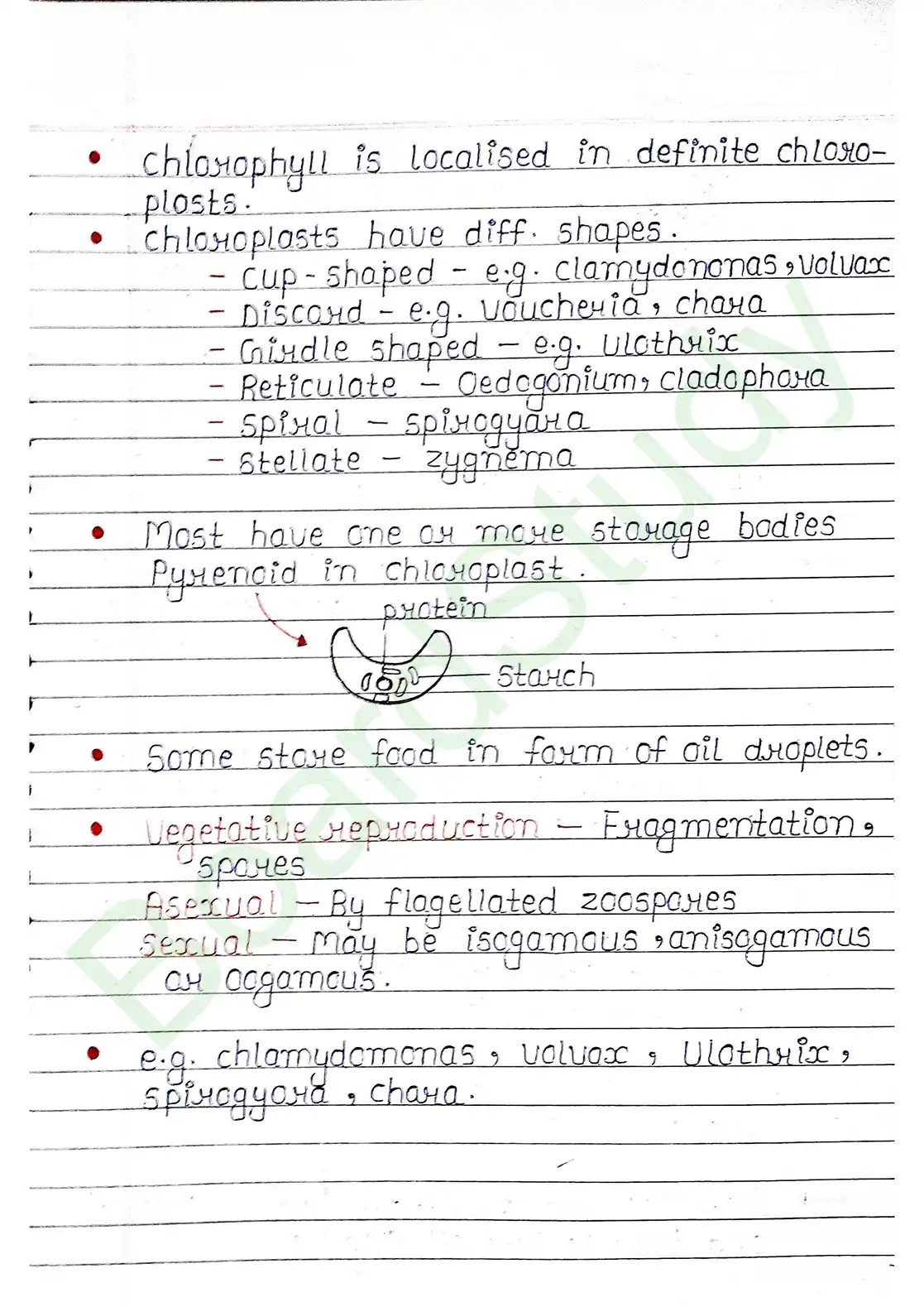 3. Plant Kingdom_page-0006