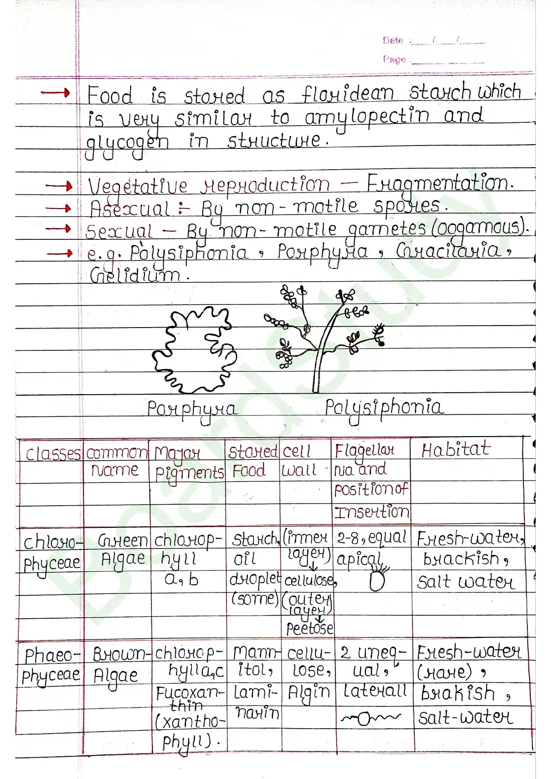 3. Plant Kingdom_page-0009