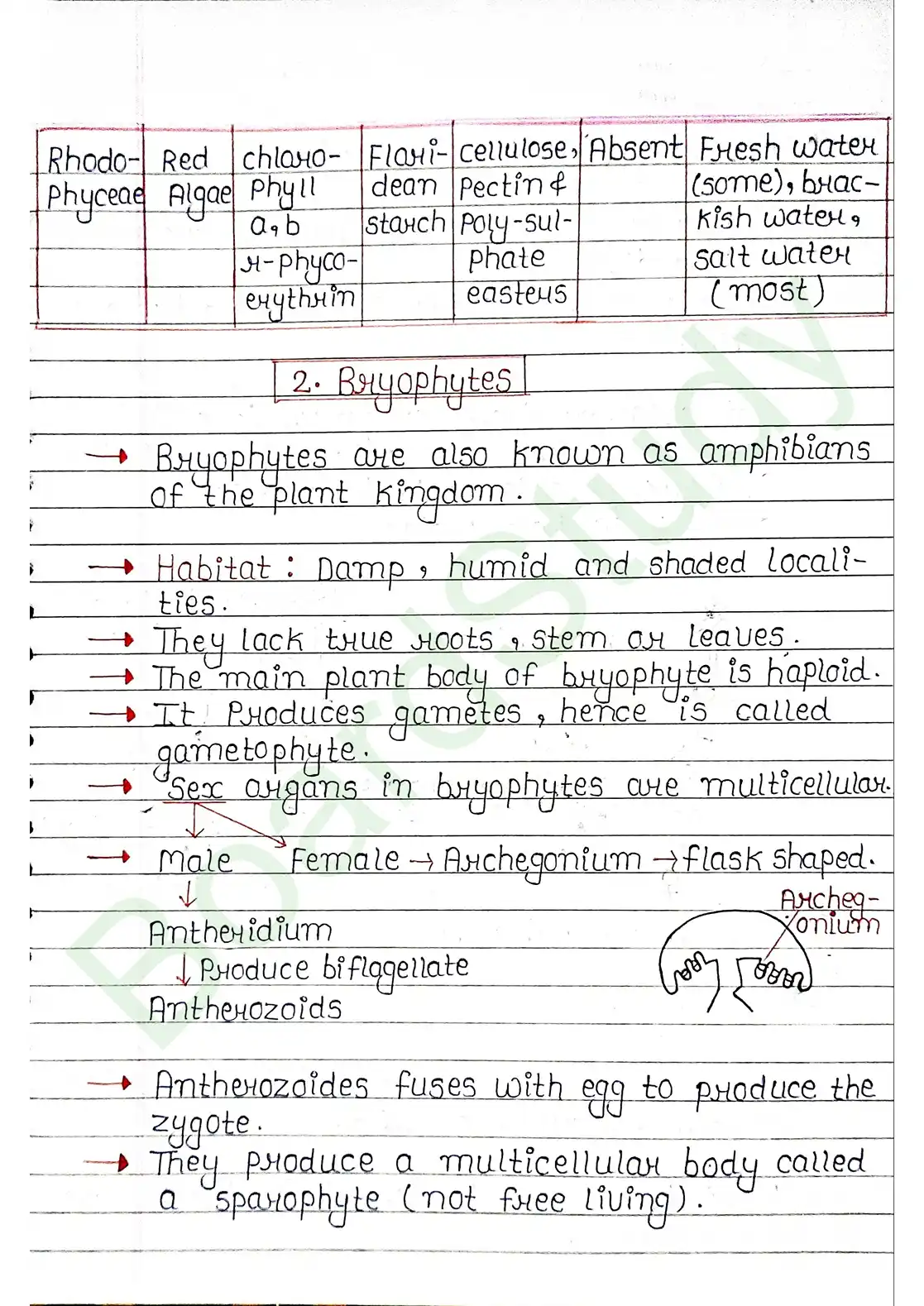 3. Plant Kingdom_page-0010