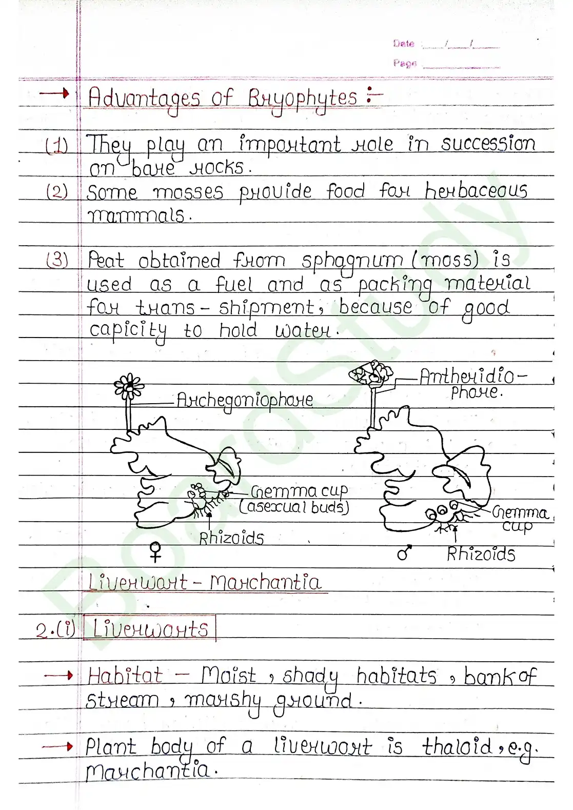 3. Plant Kingdom_page-0011