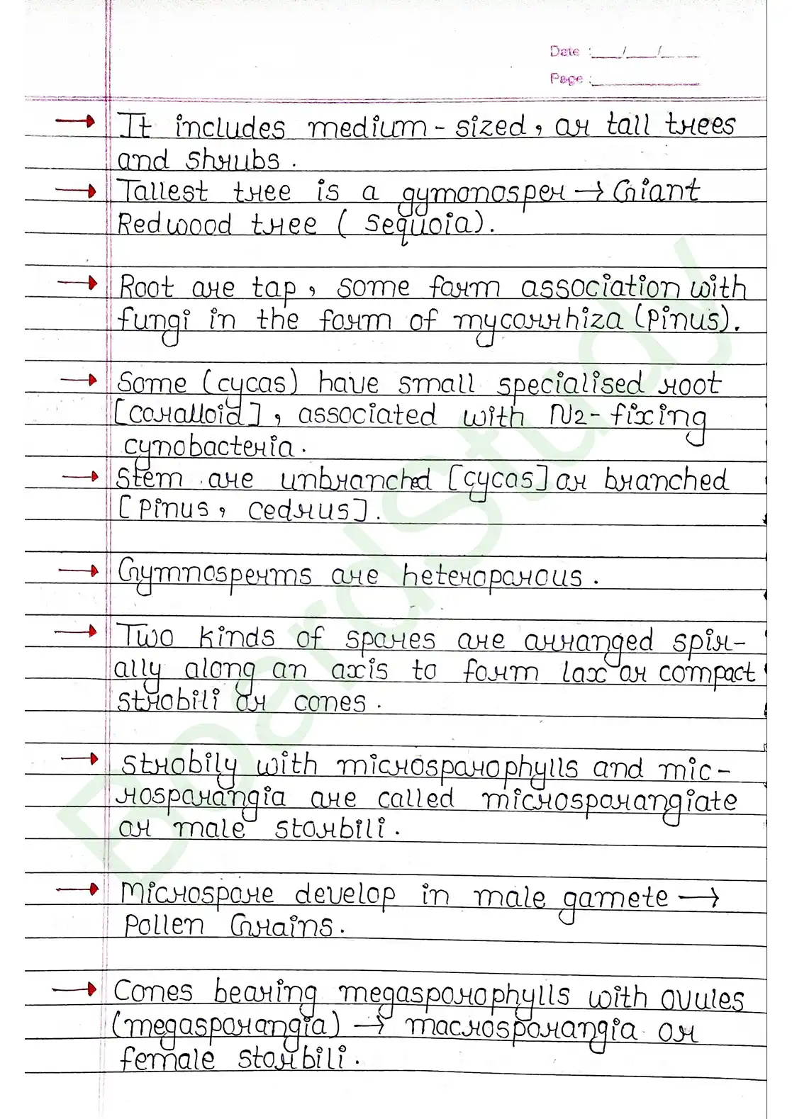 3. Plant Kingdom_page-0017