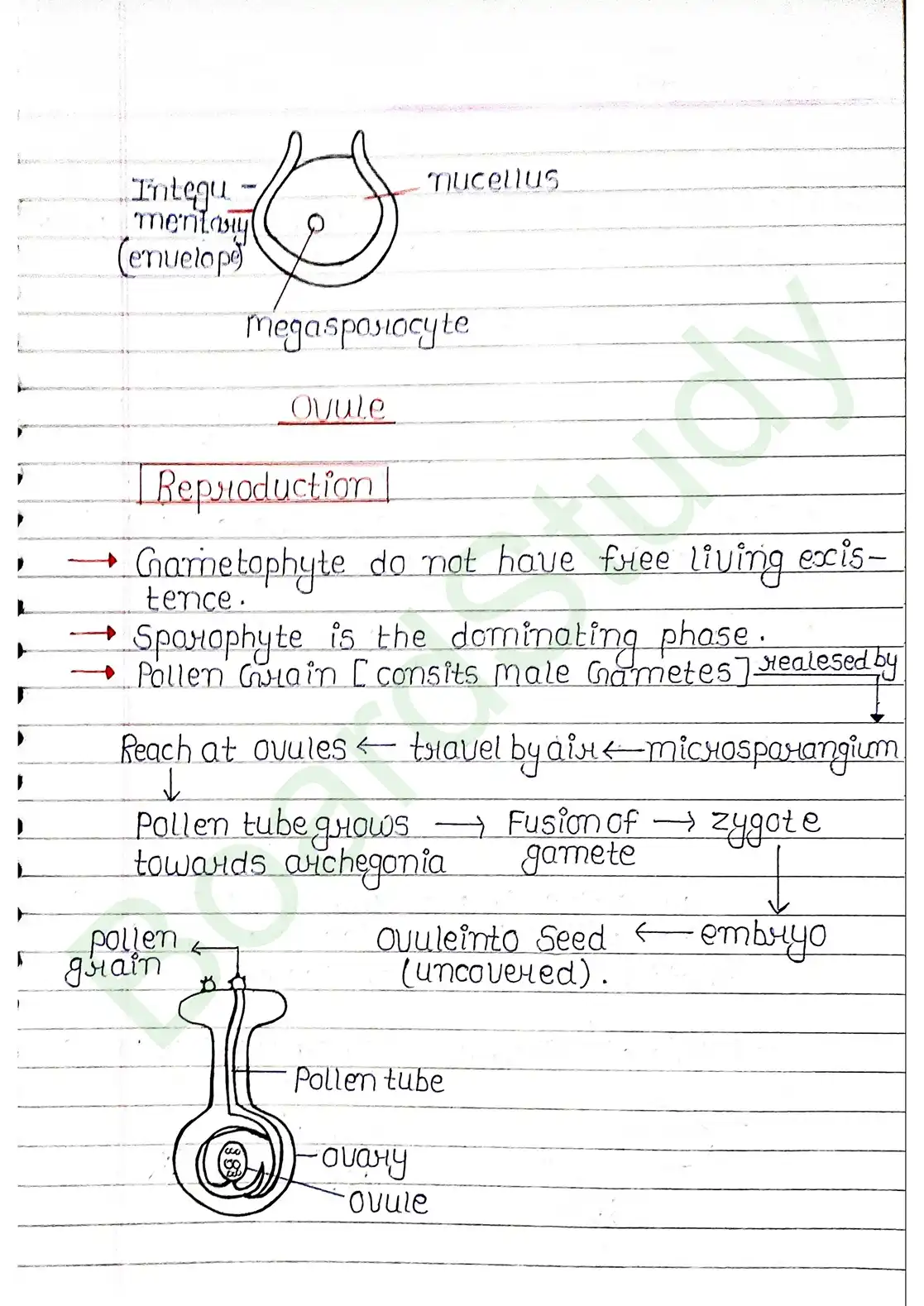3. Plant Kingdom_page-0018
