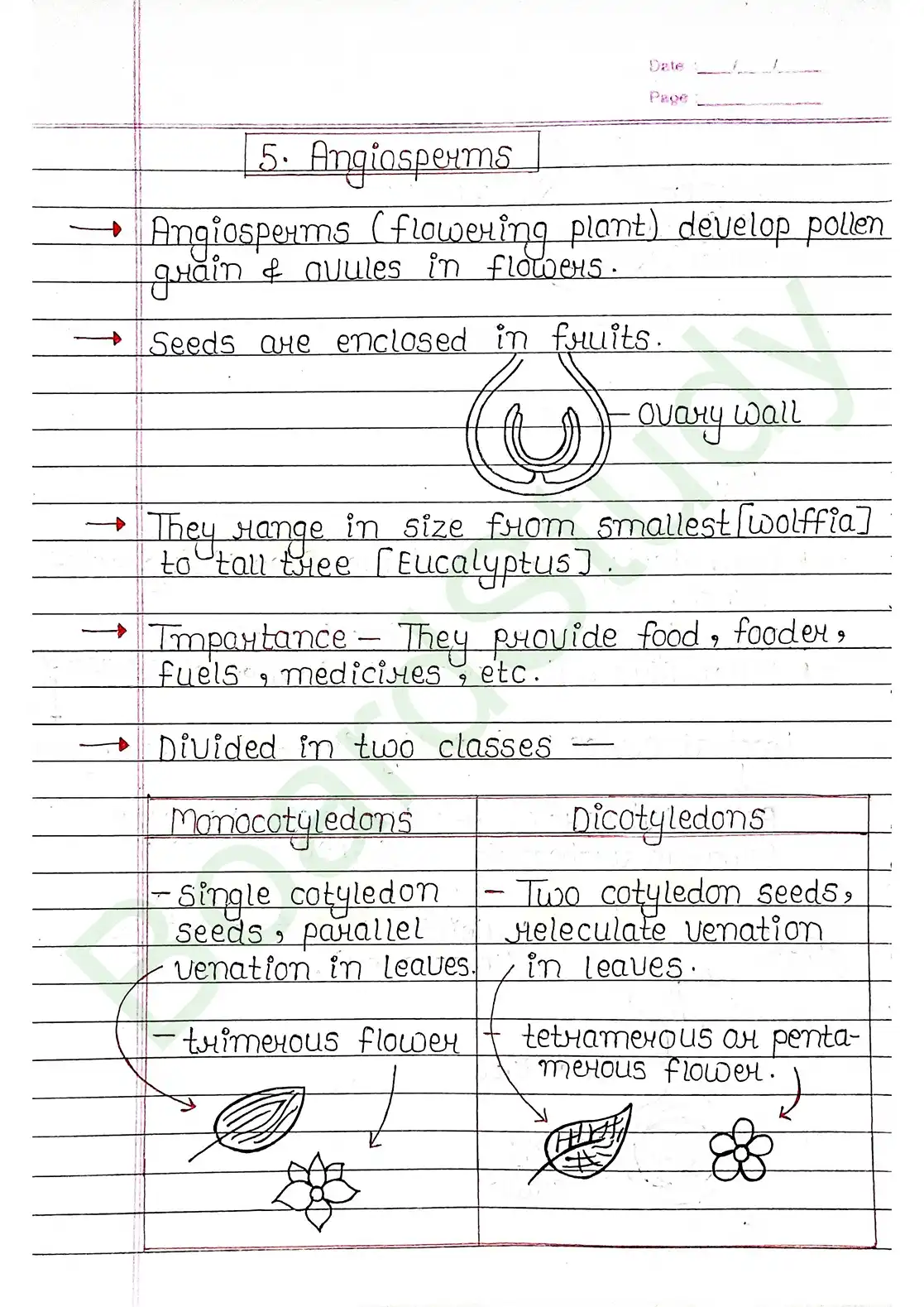 3. Plant Kingdom_page-0019