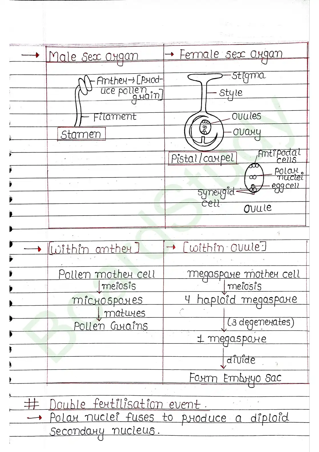 3. Plant Kingdom_page-0020