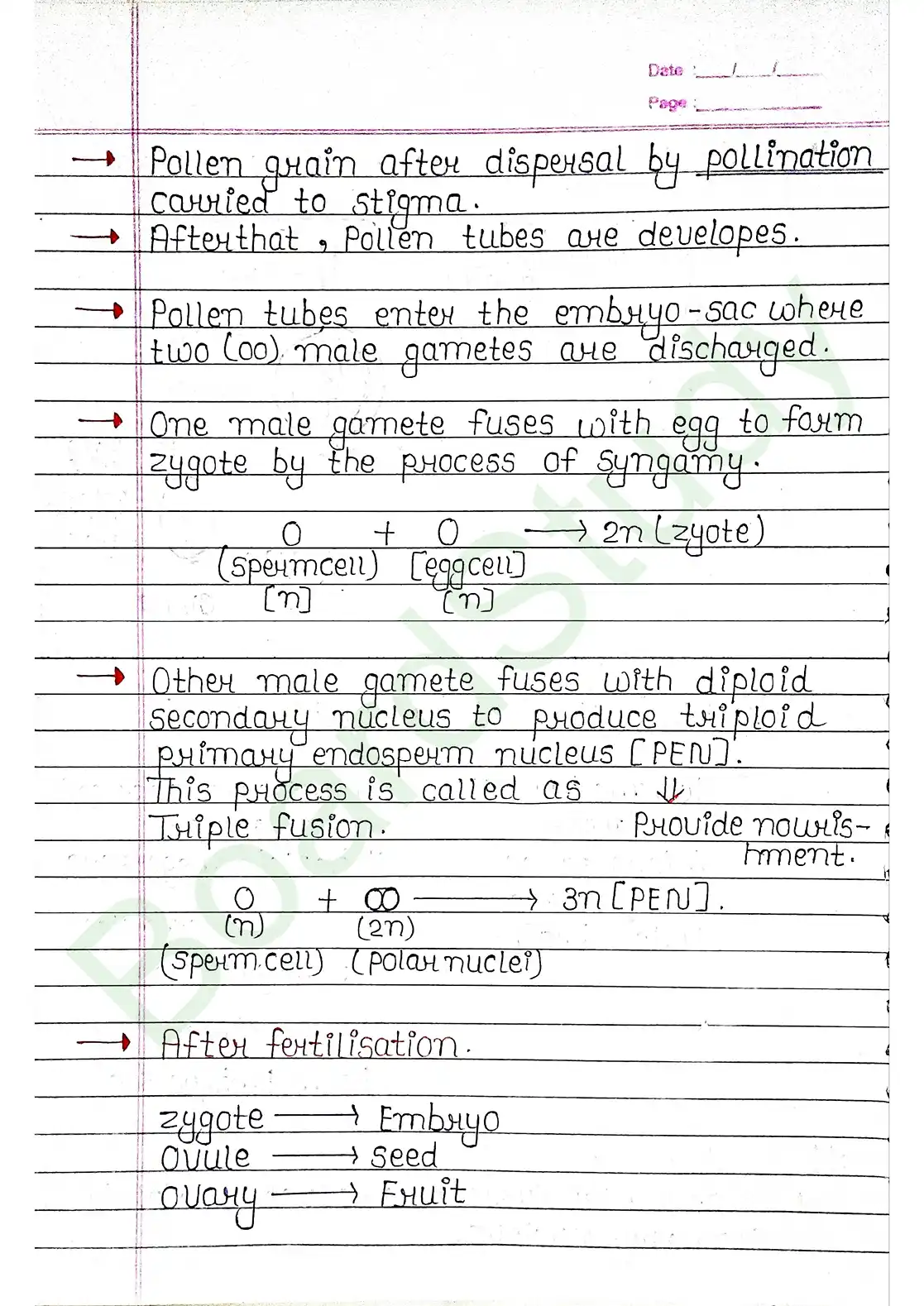 3. Plant Kingdom_page-0021