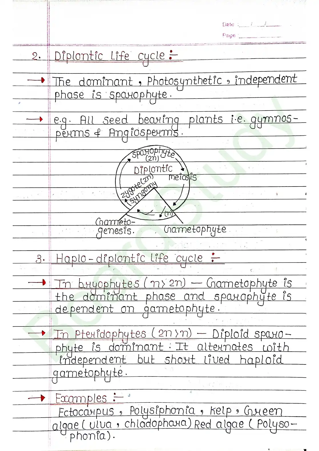 3. Plant Kingdom_page-0023