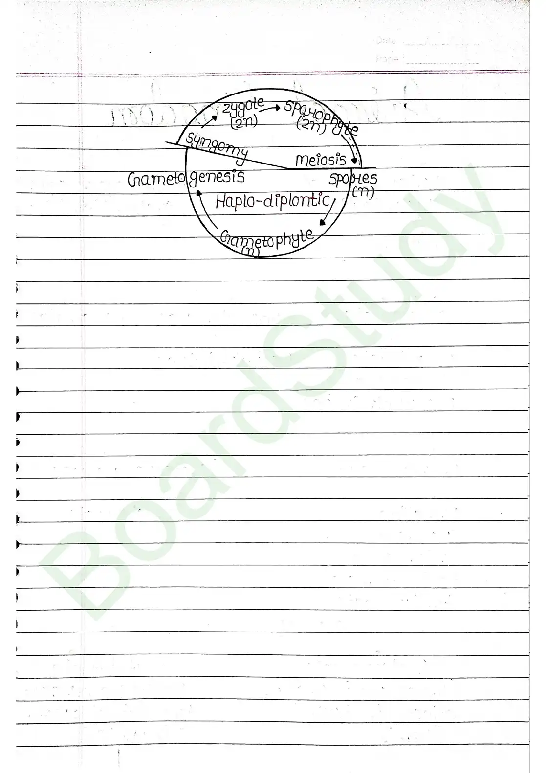 3. Plant Kingdom_page-0024