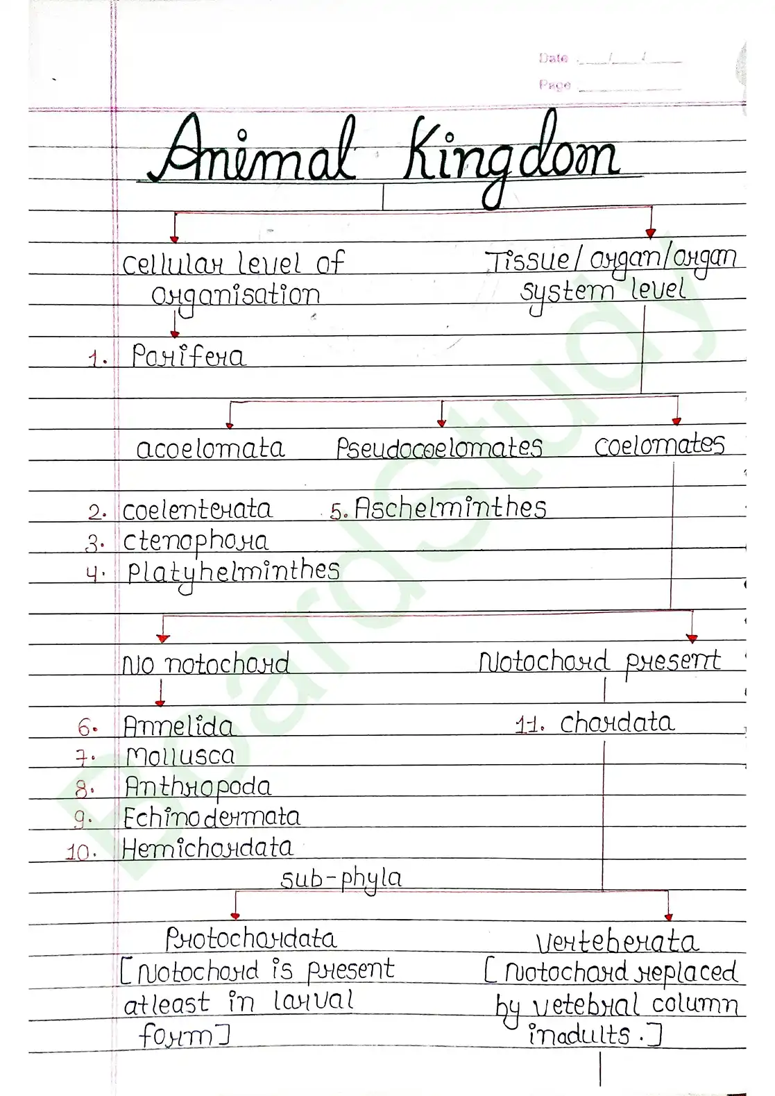 4. Animal Kingdom_page-0001