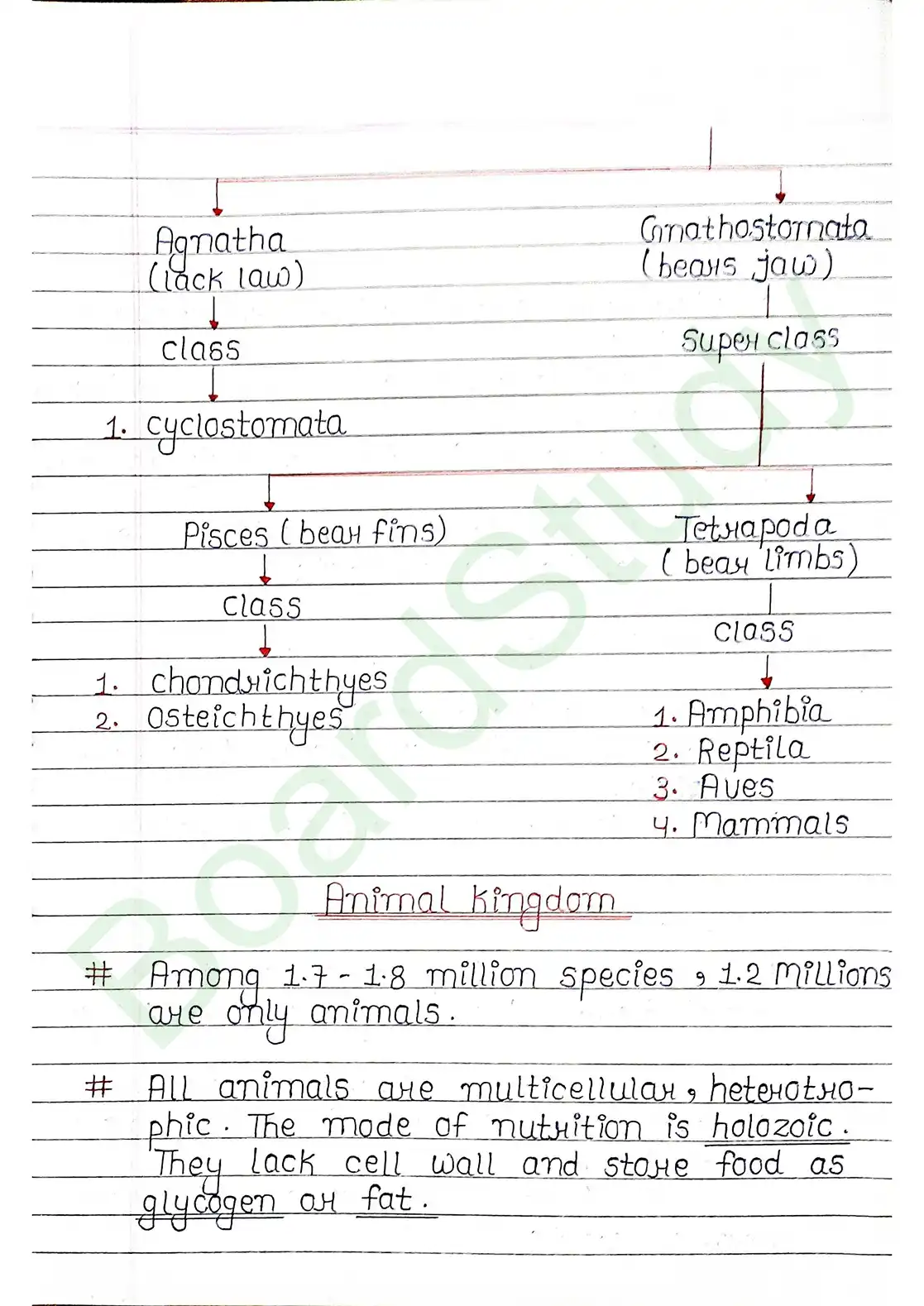 4. Animal Kingdom_page-0002