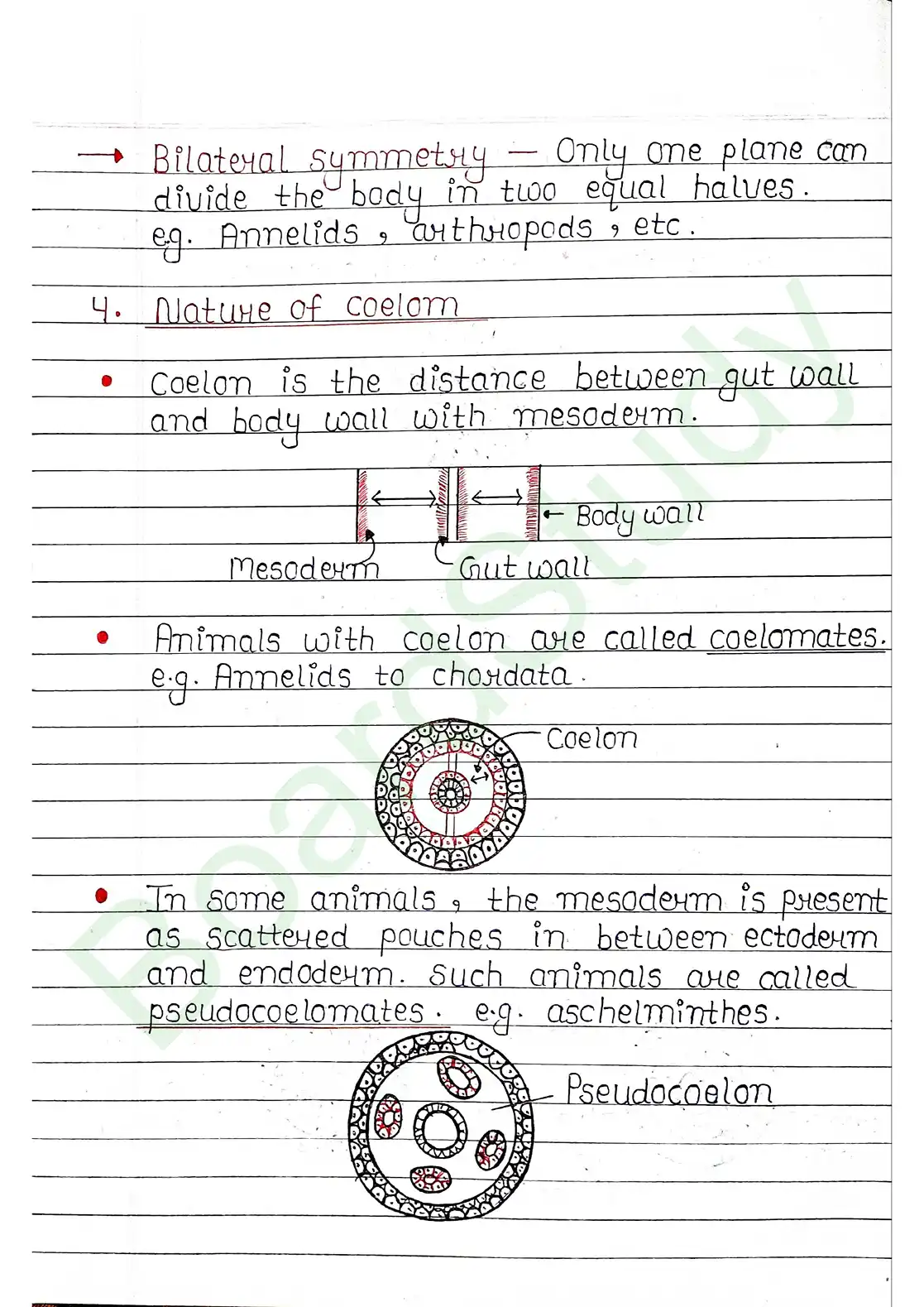 4. Animal Kingdom_page-0004