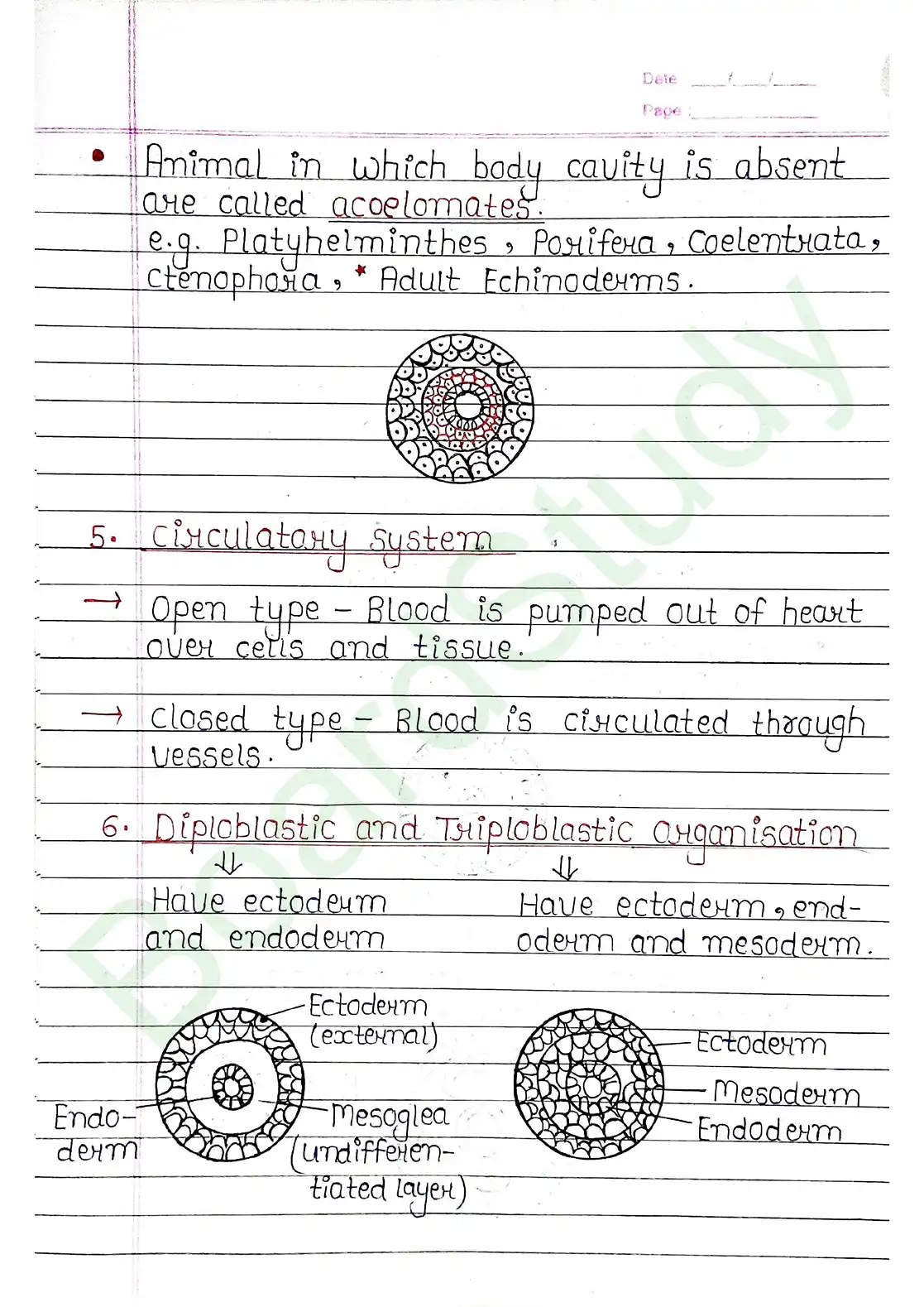 4. Animal Kingdom_page-0005