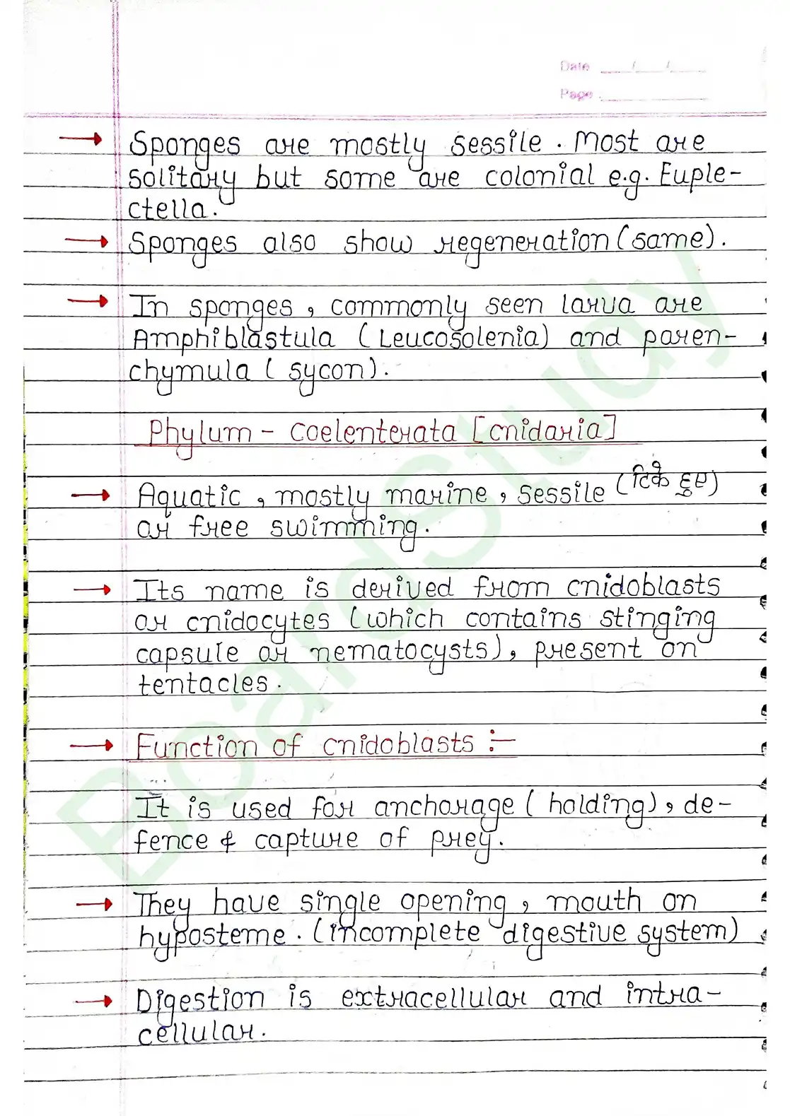 4. Animal Kingdom_page-0009
