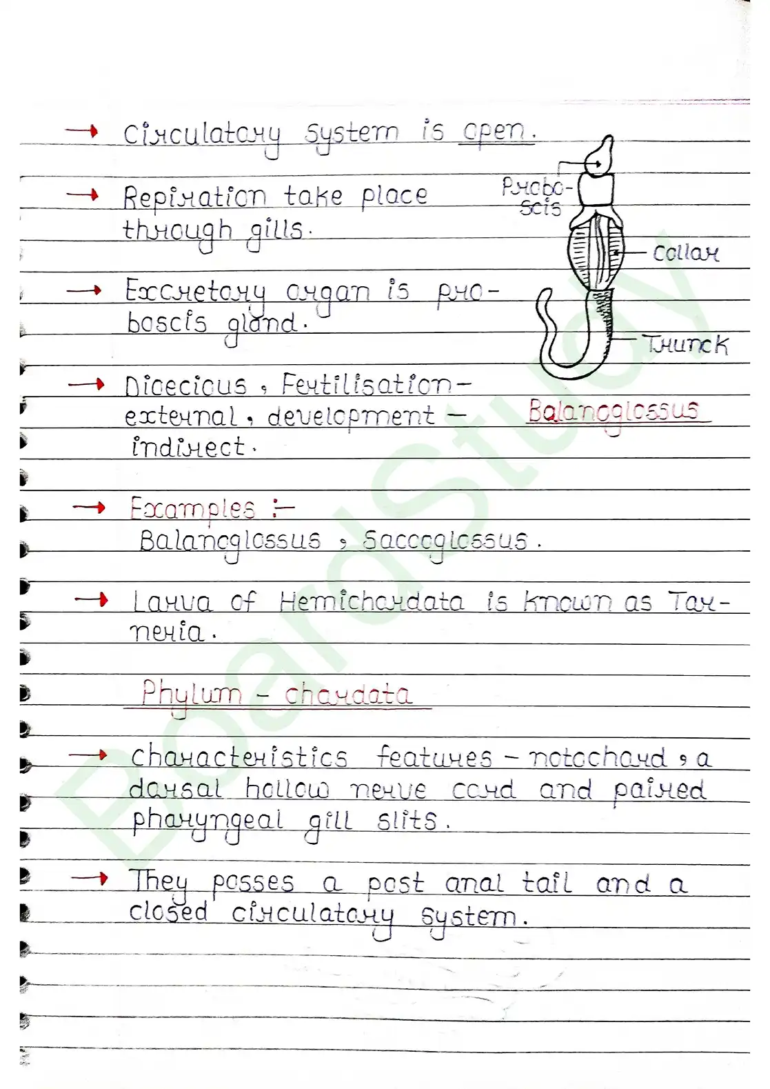 4. Animal Kingdom_page-0020