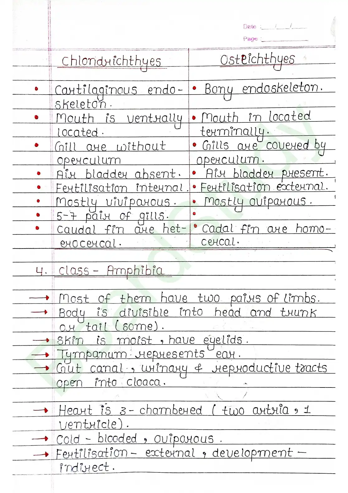 4. Animal Kingdom_page-0025