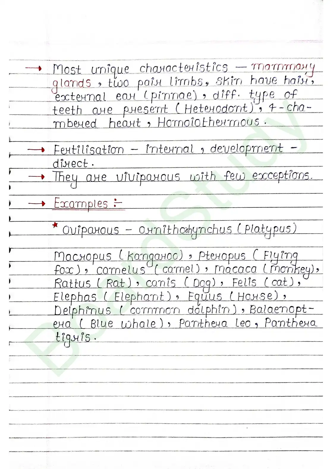 4. Animal Kingdom_page-0028