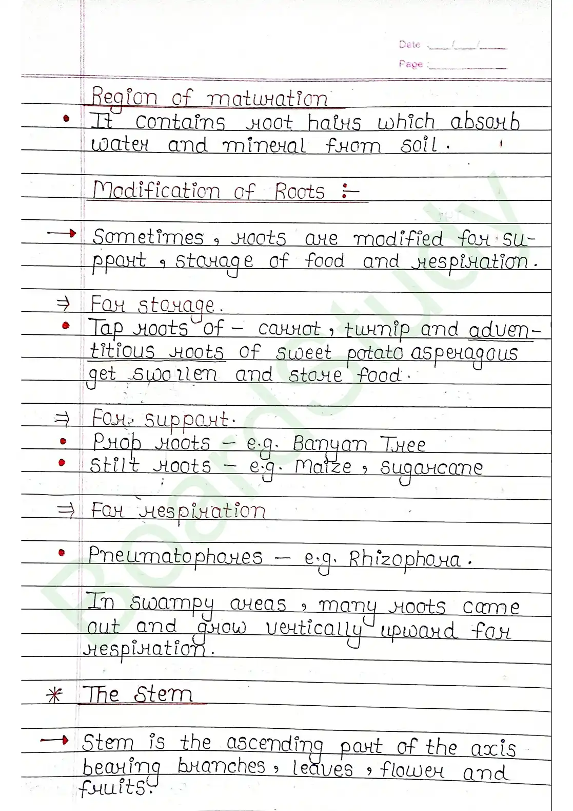 5. Morphology of flowering plants_page-0004
