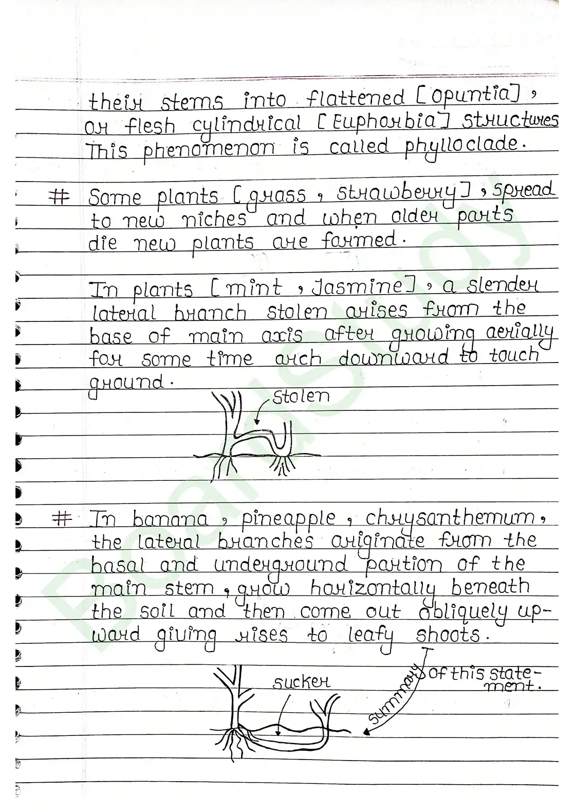 5. Morphology of flowering plants_page-0007
