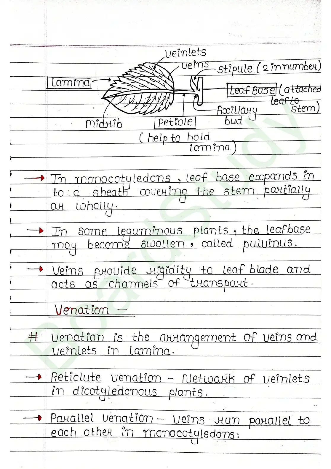 5. Morphology of flowering plants_page-0009