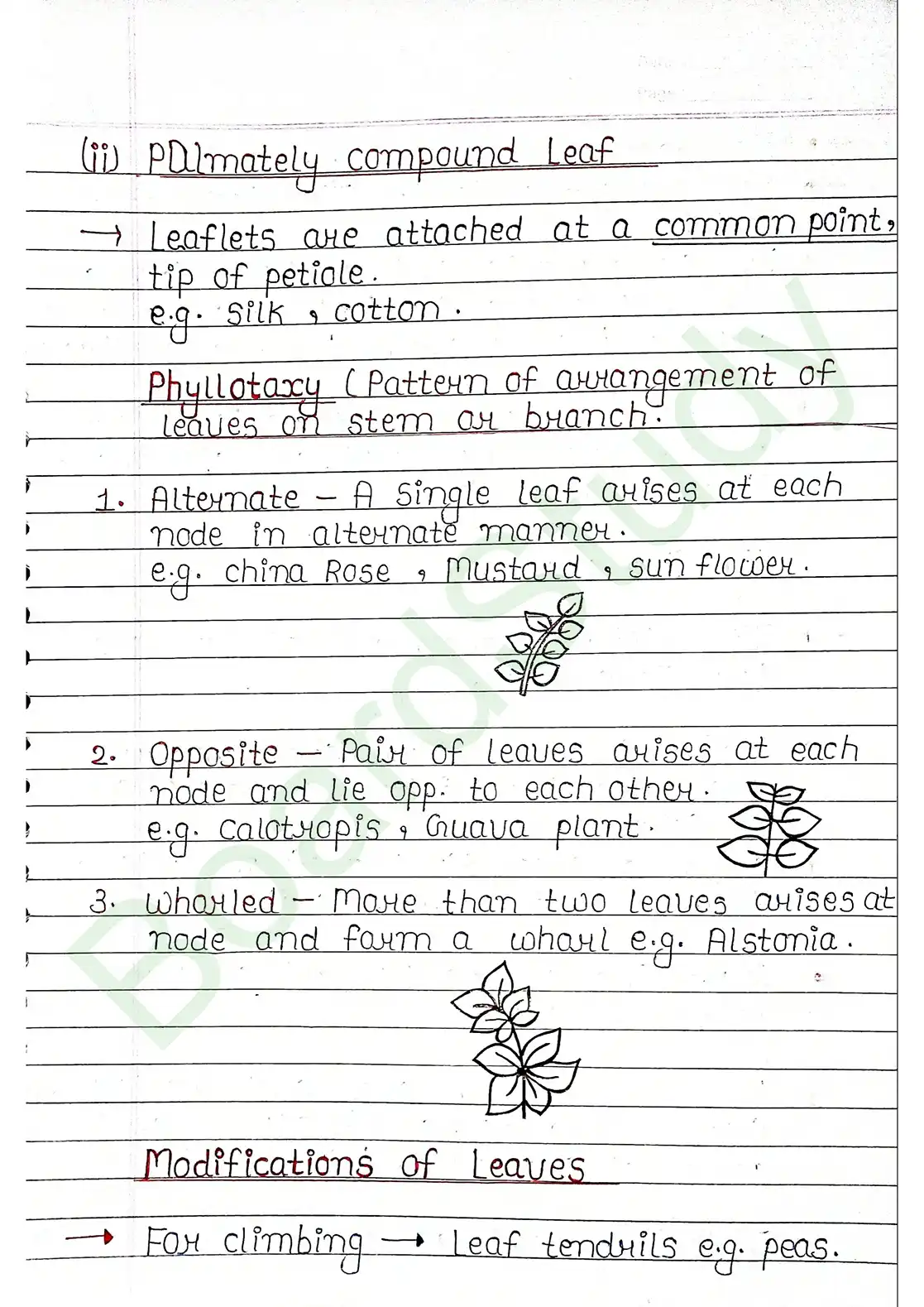 5. Morphology of flowering plants_page-0011