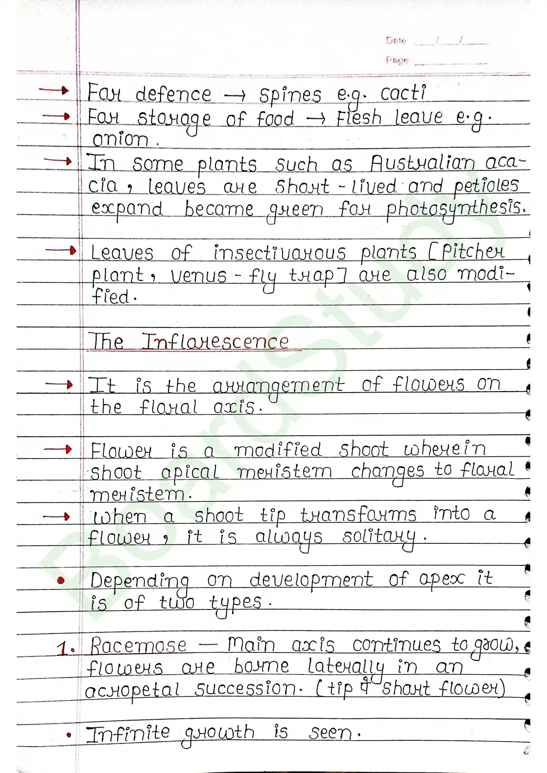 5. Morphology of flowering plants_page-0012