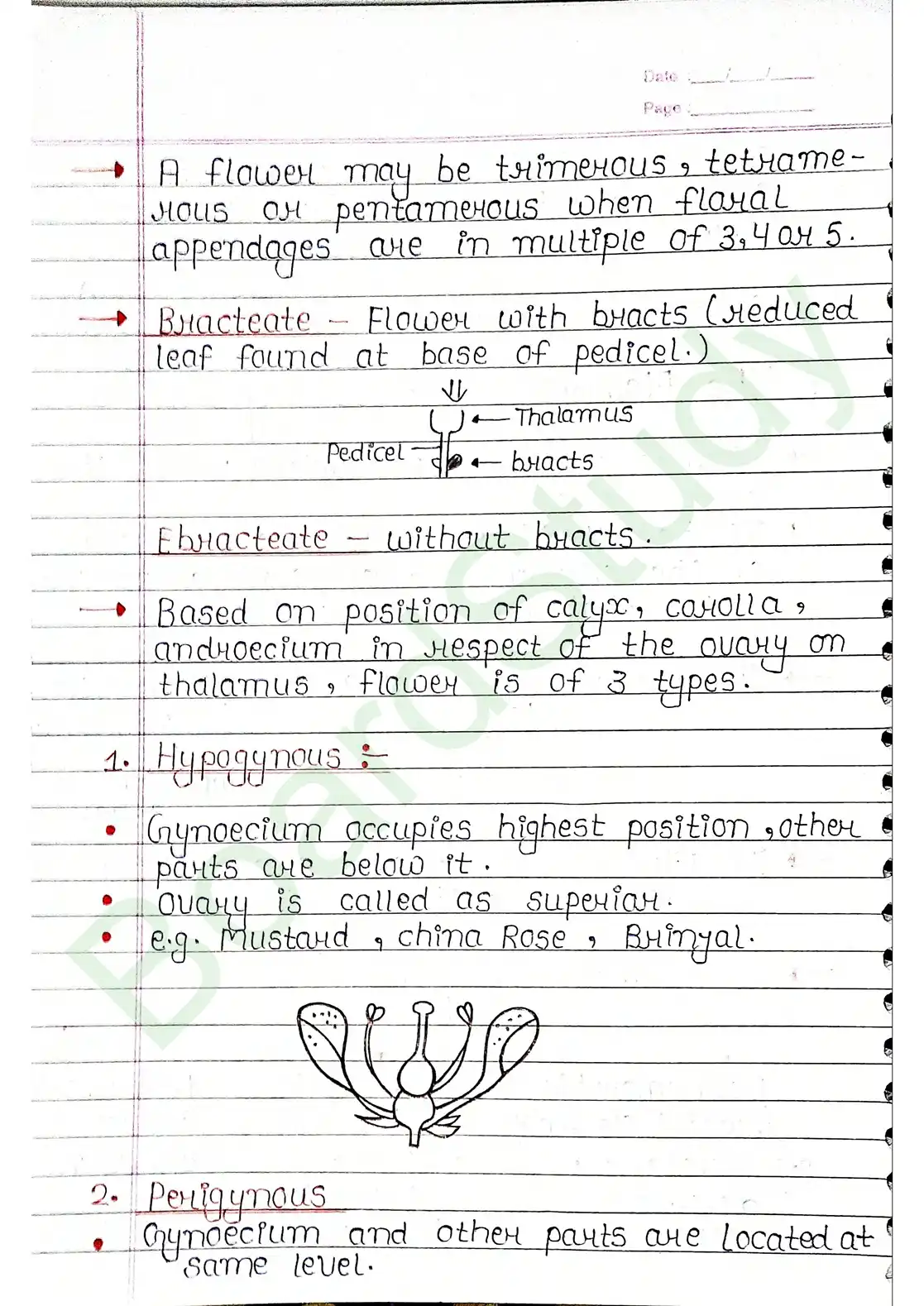 5. Morphology of flowering plants_page-0014