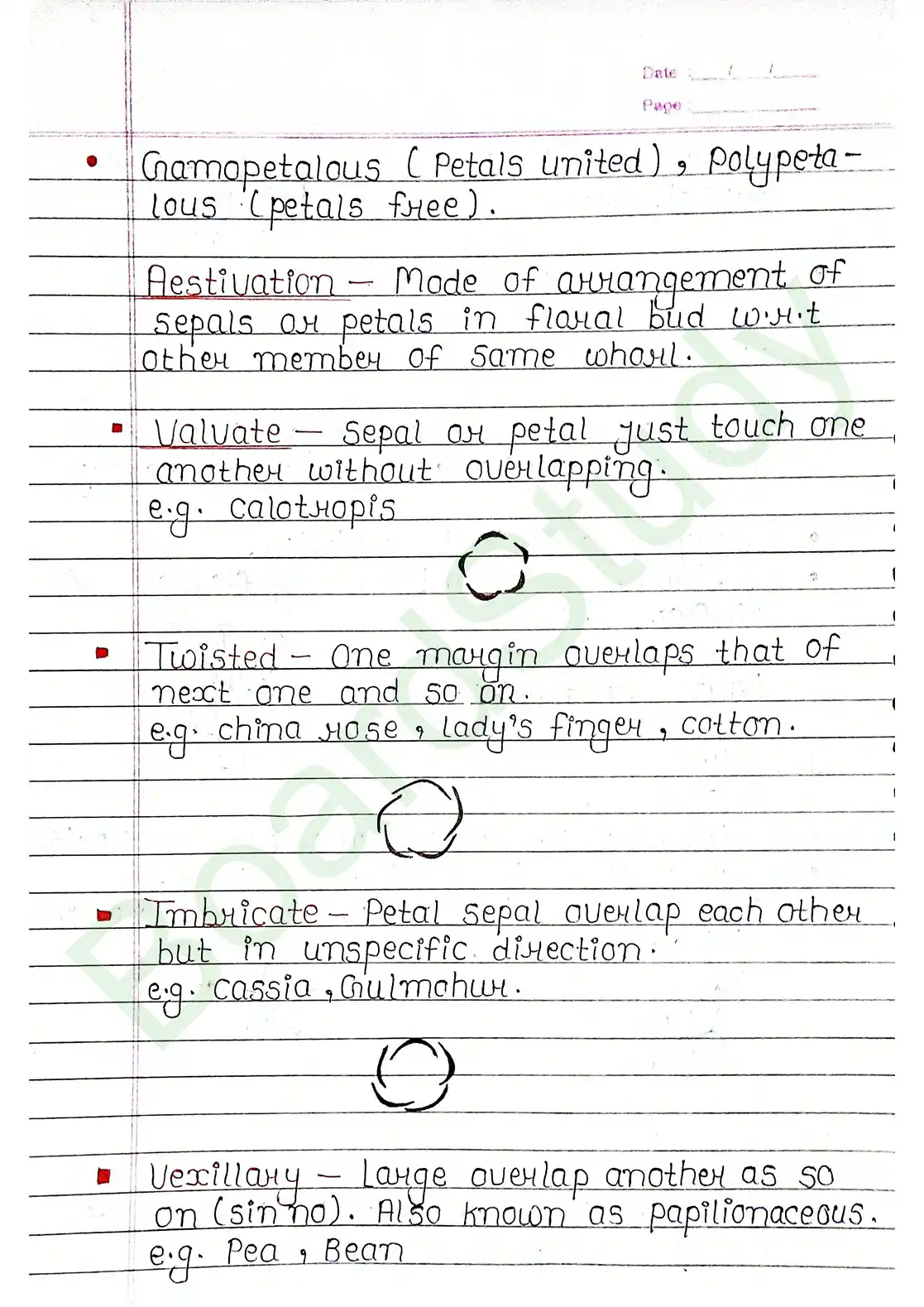 5. Morphology of flowering plants_page-0016