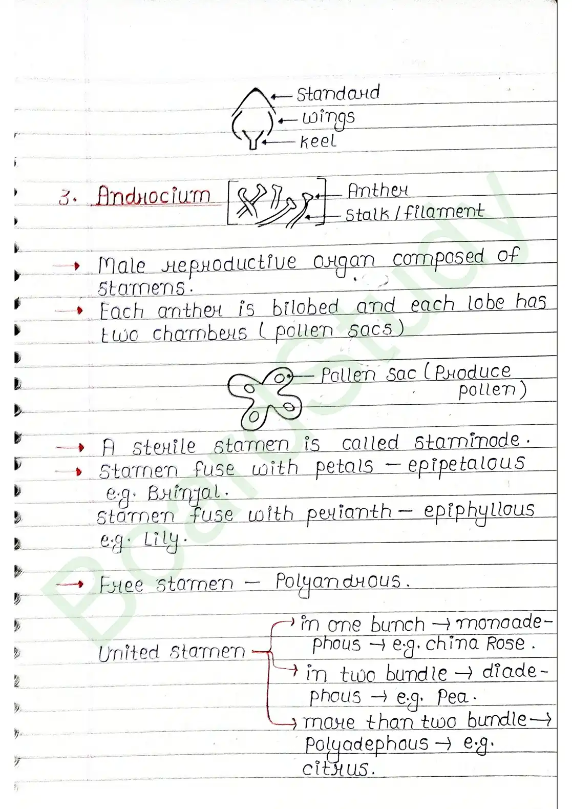 5. Morphology of flowering plants_page-0017