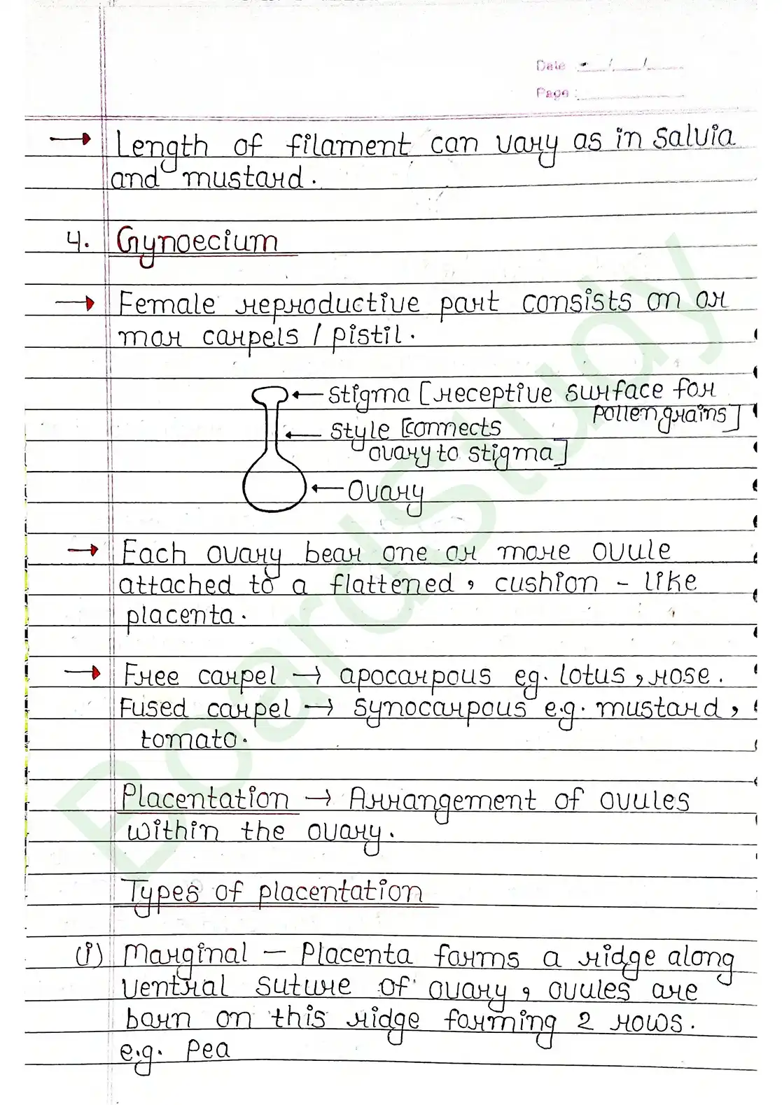 5. Morphology of flowering plants_page-0018