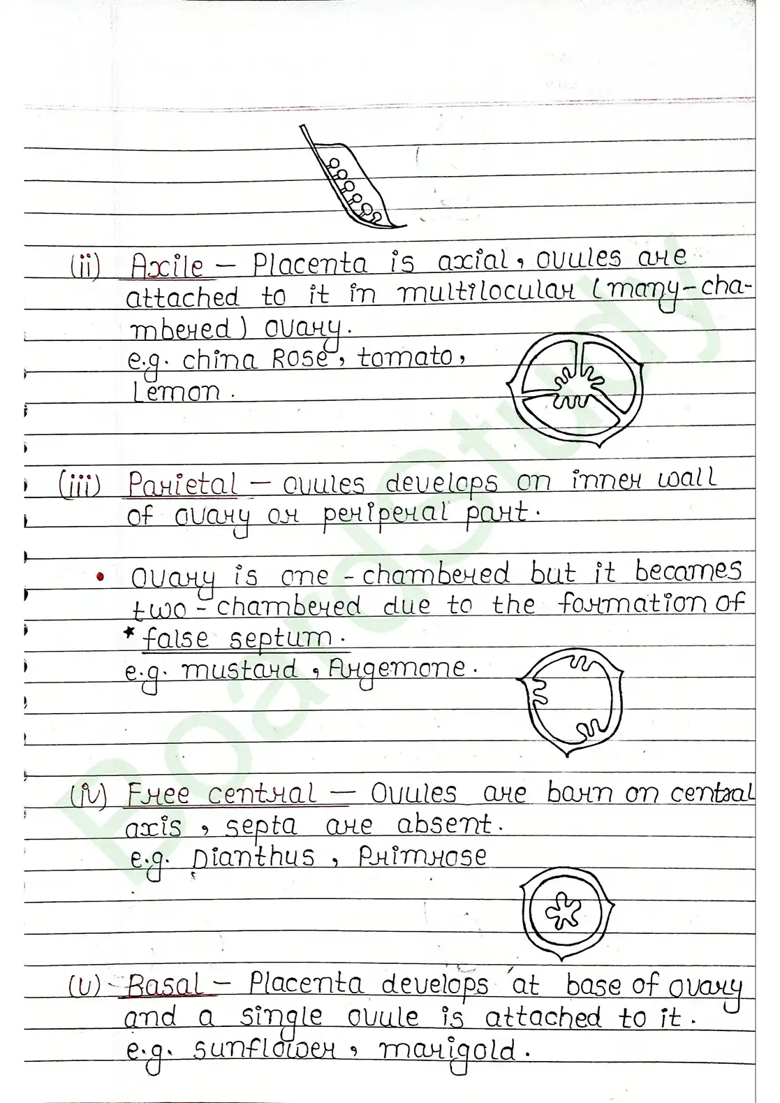 5. Morphology of flowering plants_page-0019