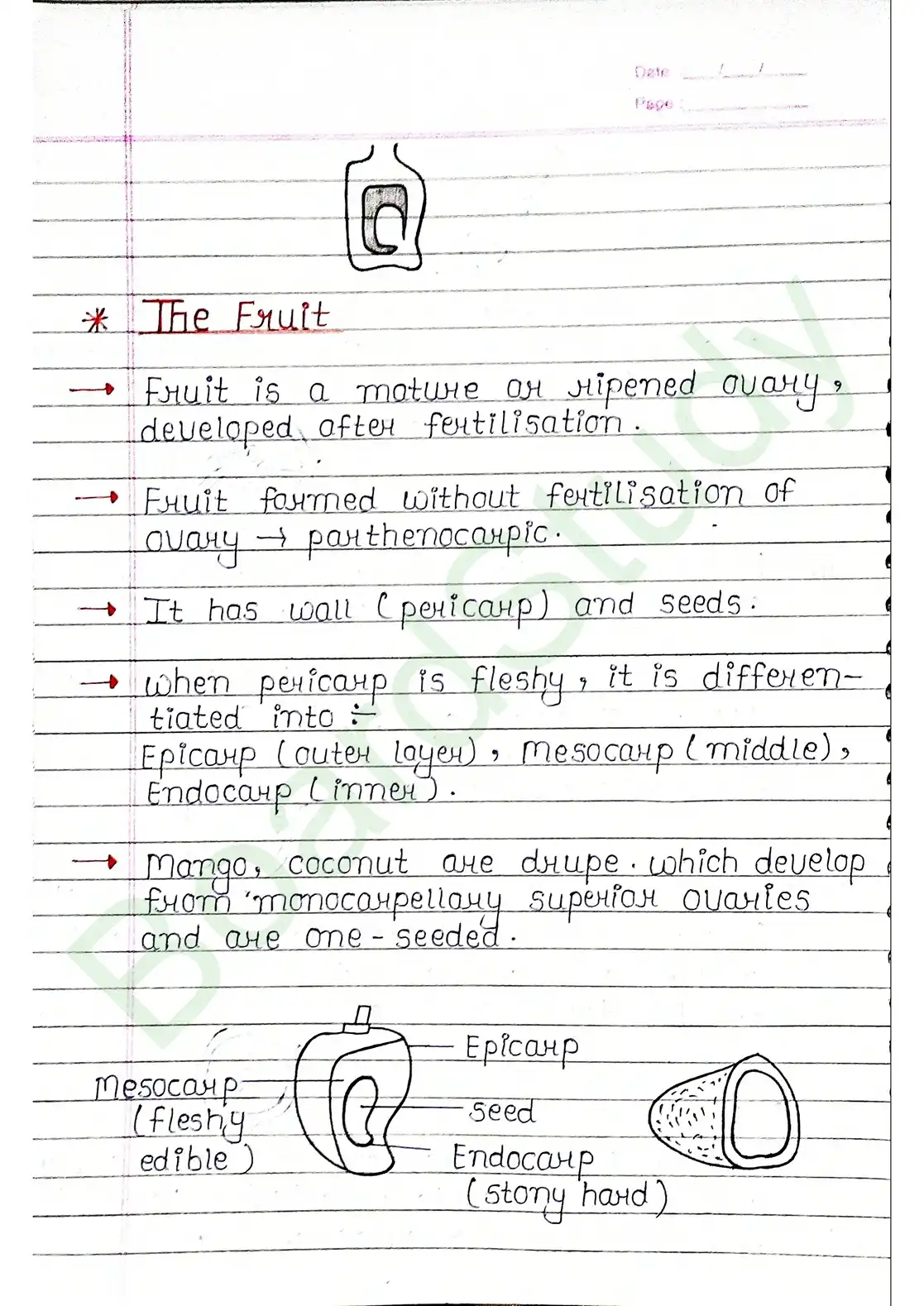 5. Morphology of flowering plants_page-0020