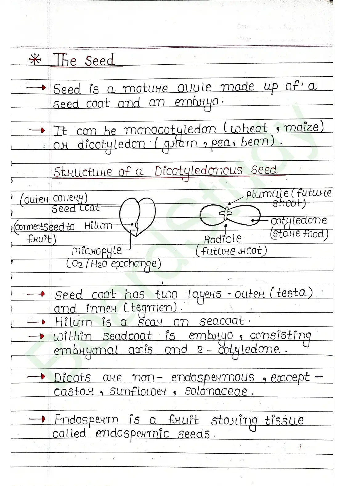 5. Morphology of flowering plants_page-0021