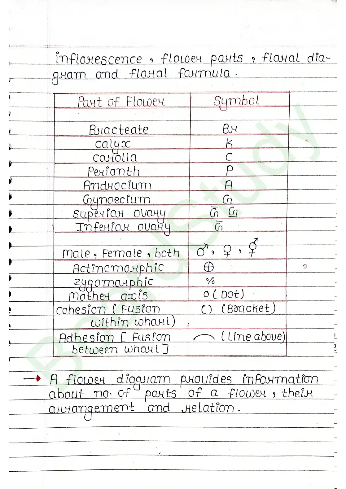 5. Morphology of flowering plants_page-0023