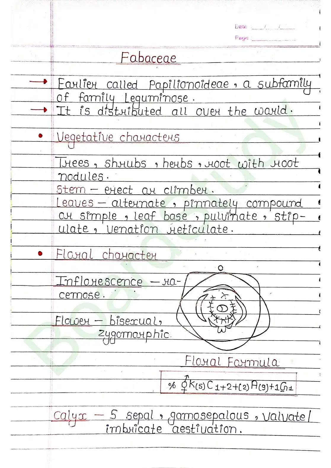 5. Morphology of flowering plants_page-0024