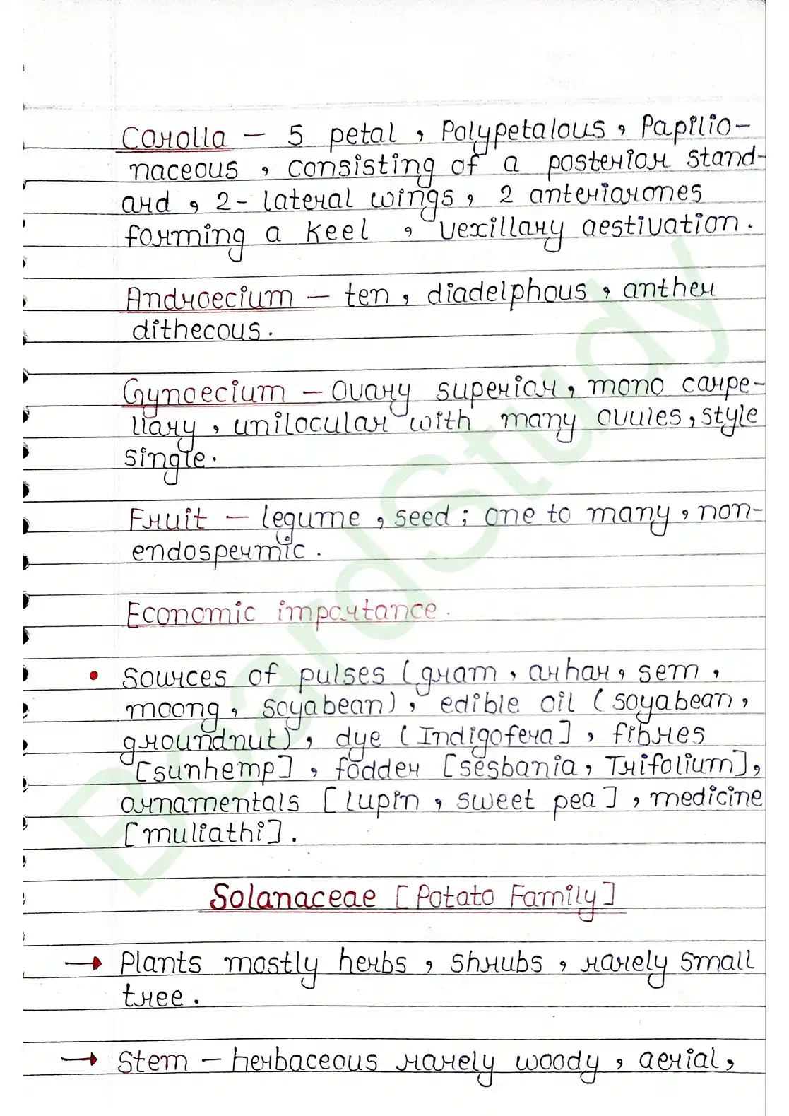 5. Morphology of flowering plants_page-0025