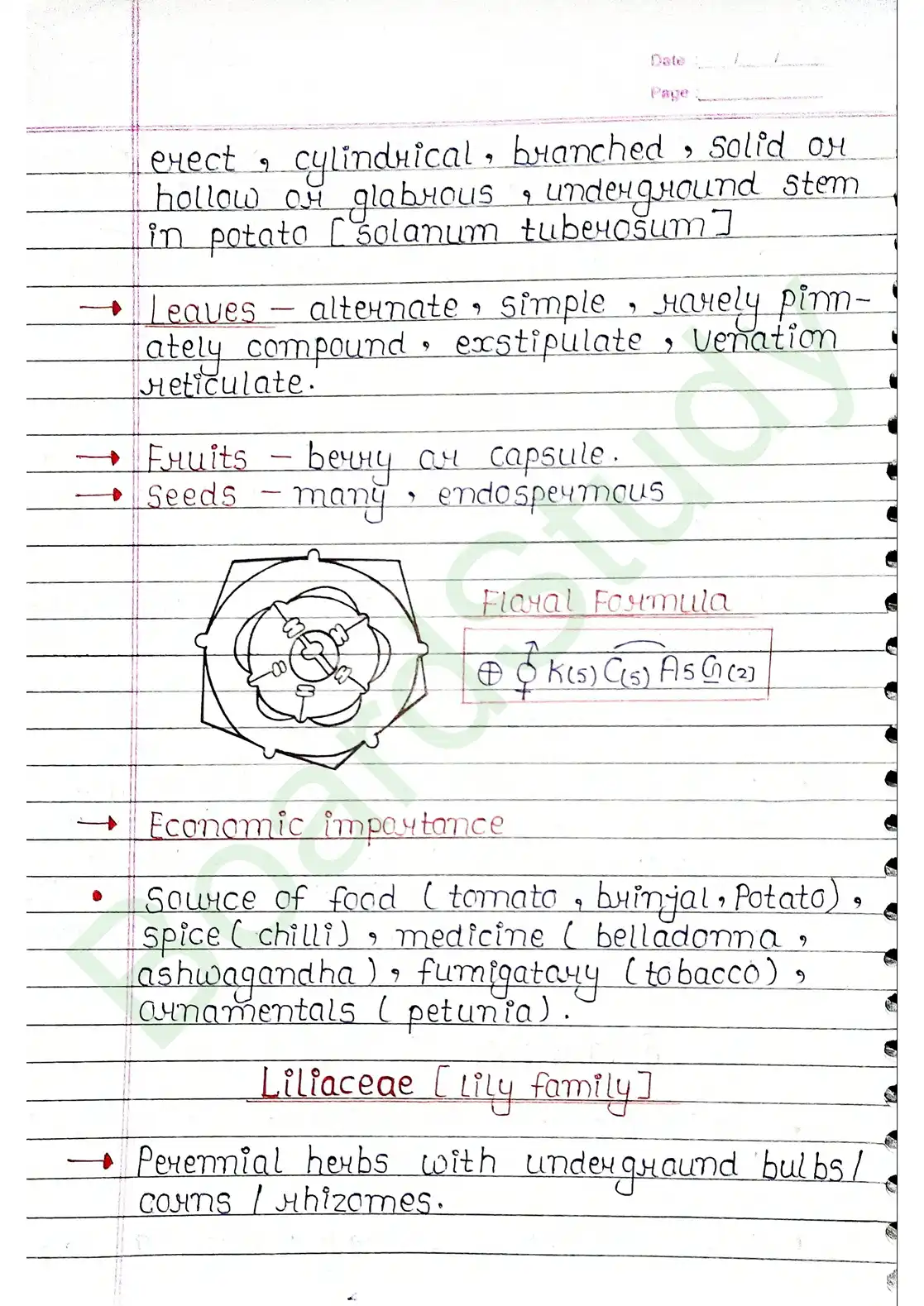 5. Morphology of flowering plants_page-0026