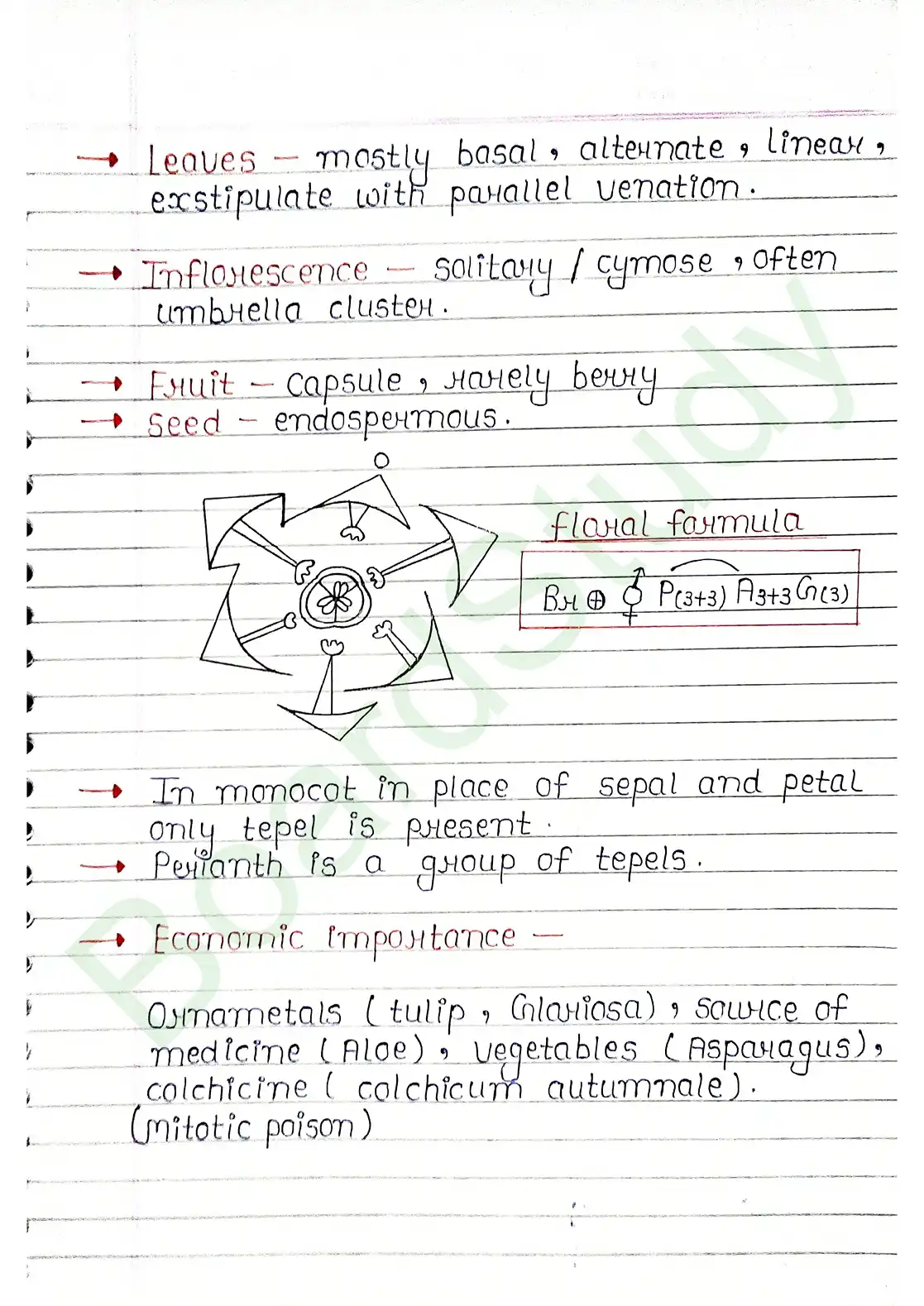 5. Morphology of flowering plants_page-0027