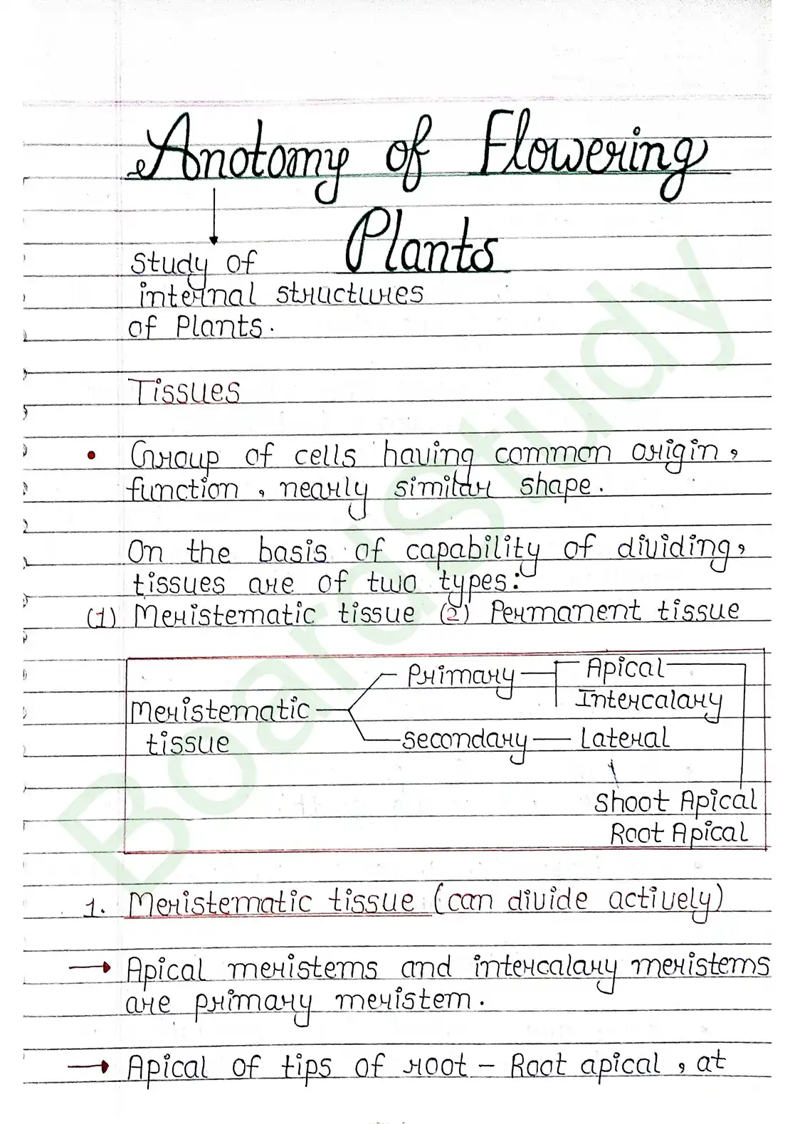6. Anatomy of flowering plants_page-0001
