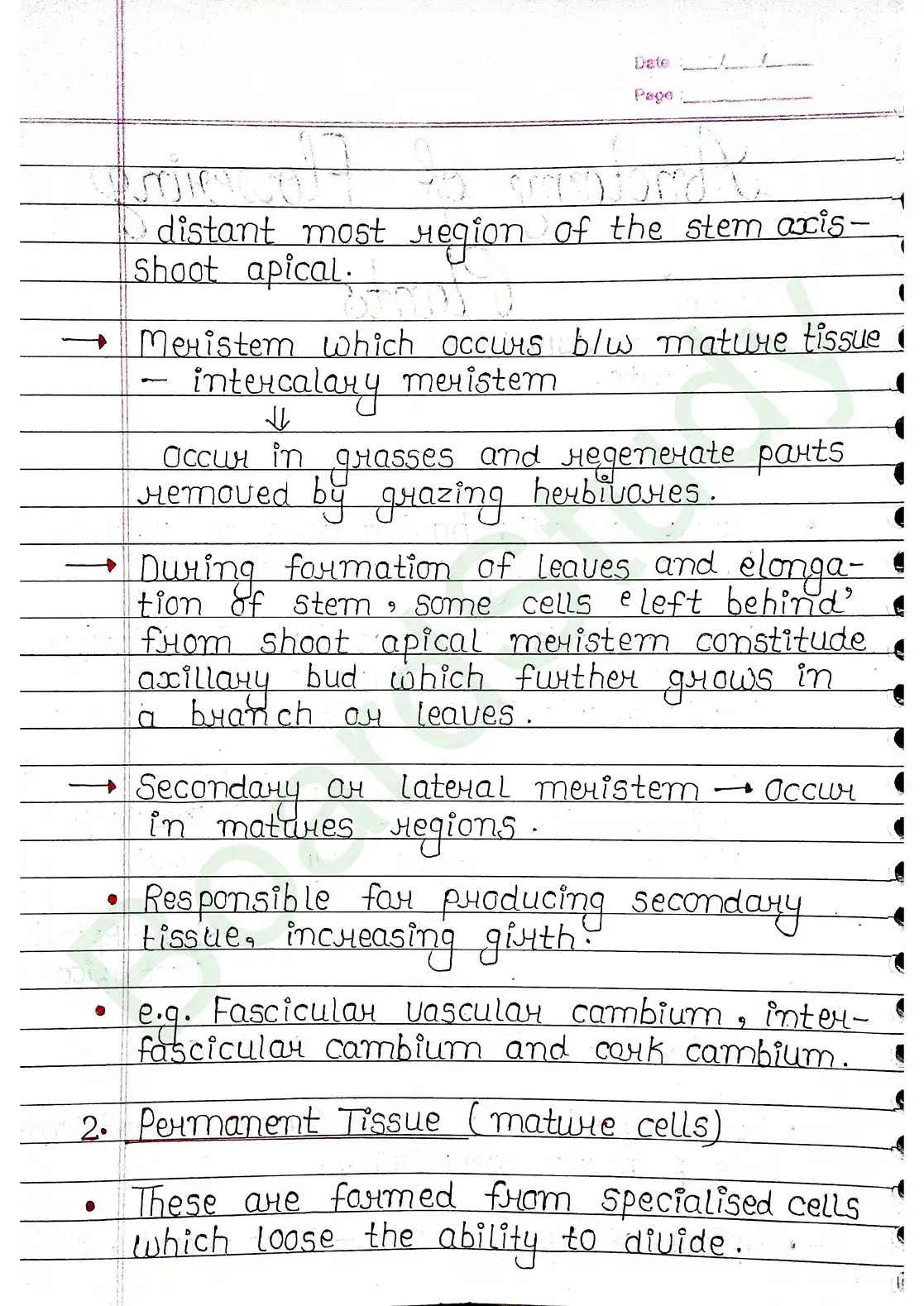 6. Anatomy of flowering plants_page-0002